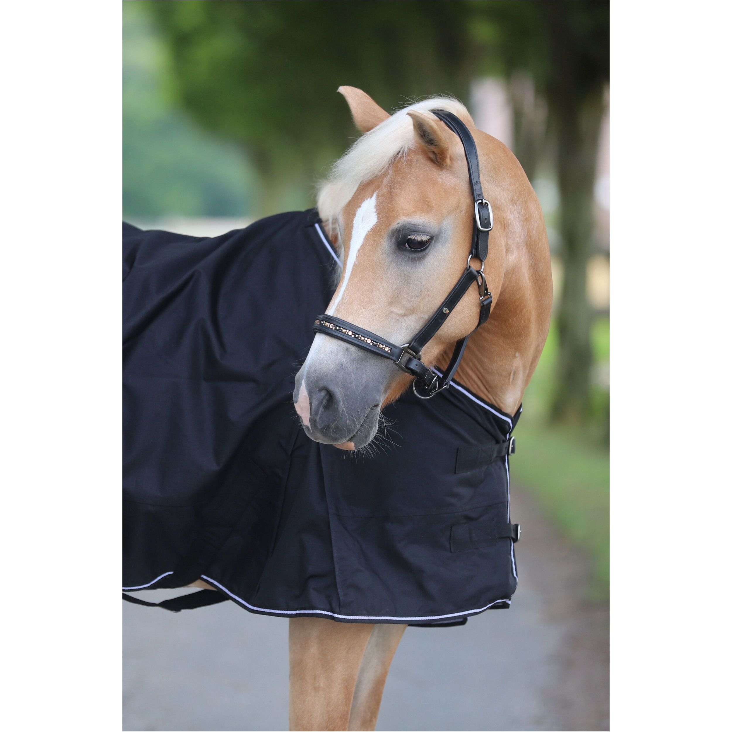 Regendecke 600D COMFORT schwarz