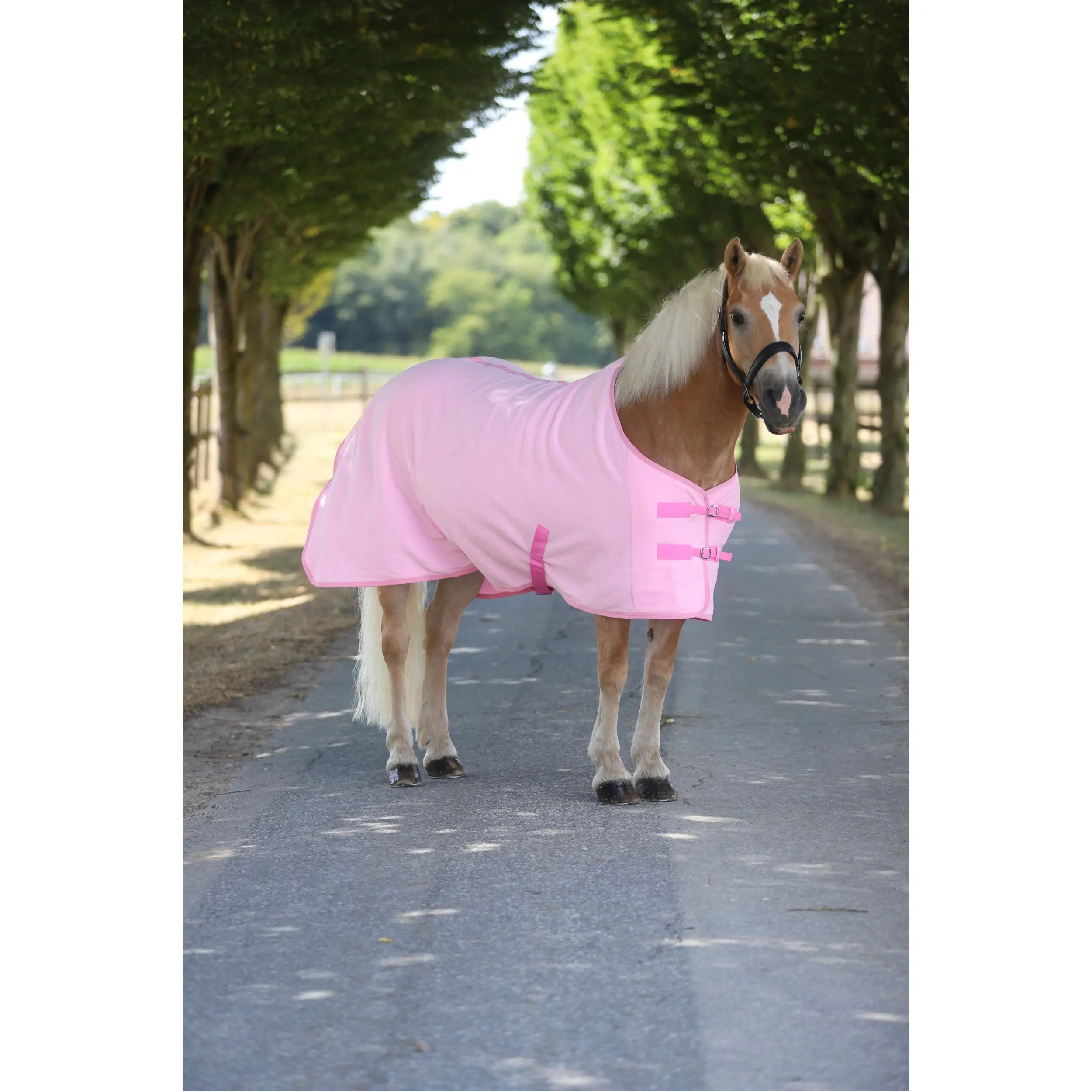 Abschwitzdecke mit Kreuzgurt BASICLINE rosa Abschwitzdecke mit Kreuzgurt BASICLINE rosa