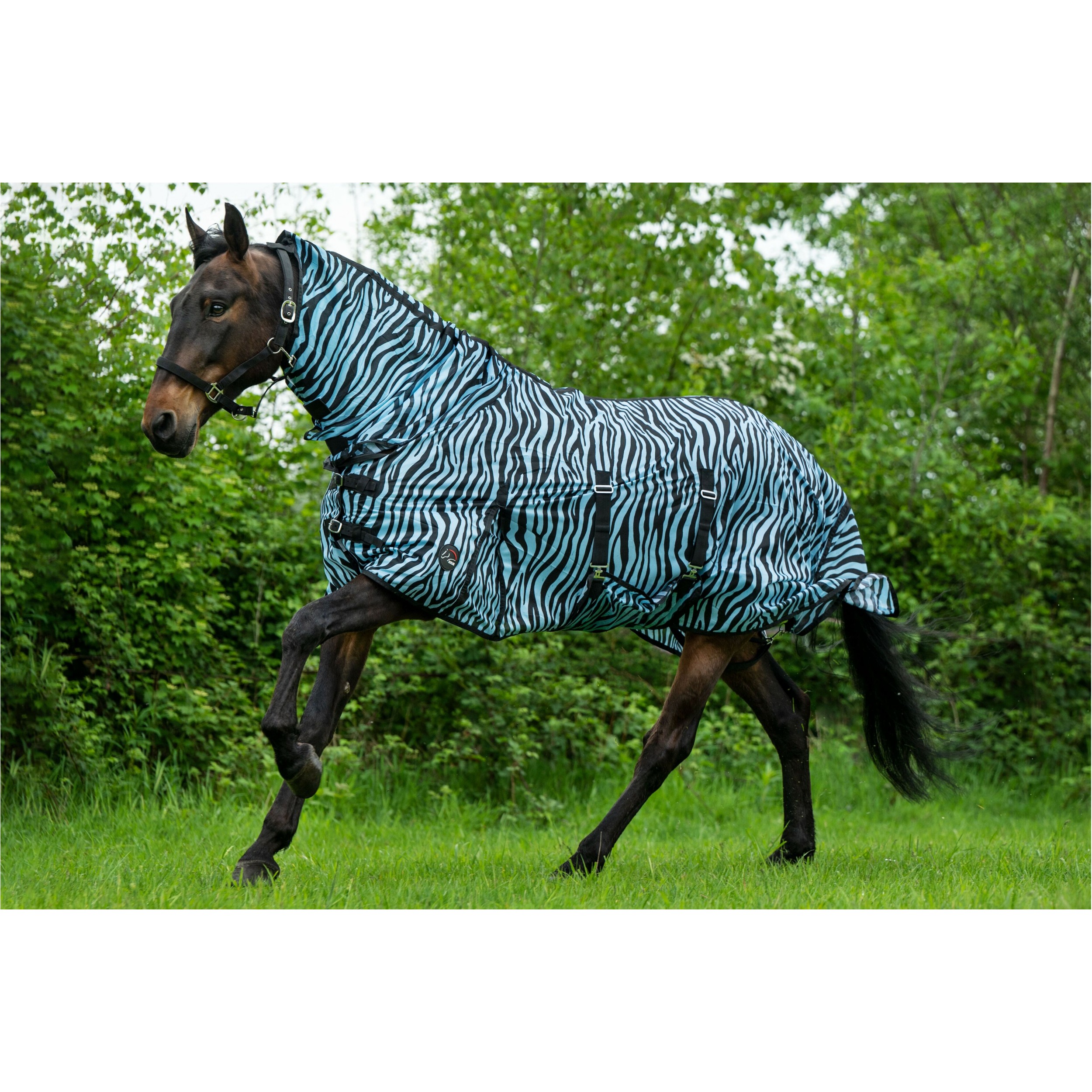 Fliegendecke mit Halsteil ZEBRA AQUA aqua/schwarz