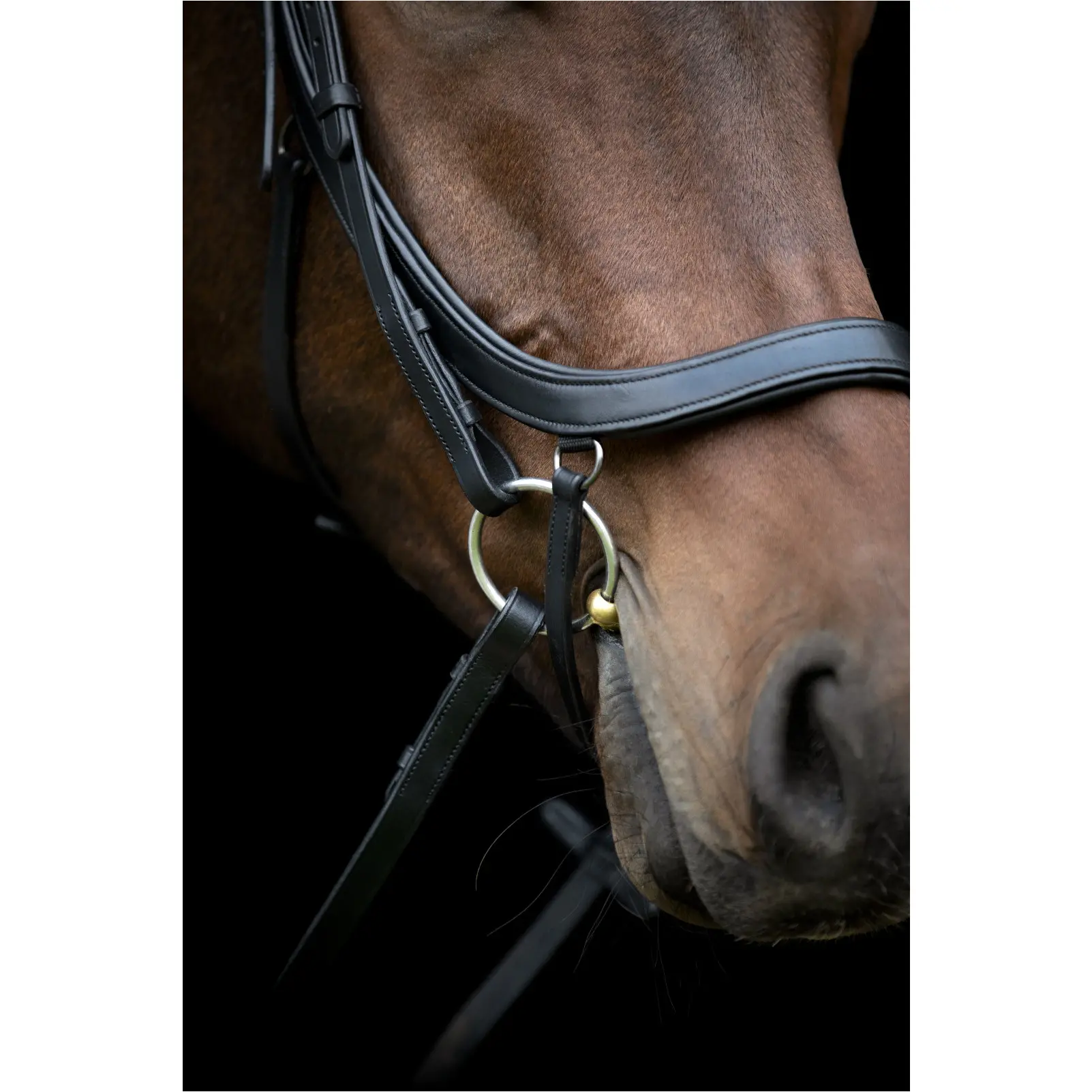 Trensenzaum anatomisch VINJA schwarz Trensenzaum anatomisch VINJA schwarz