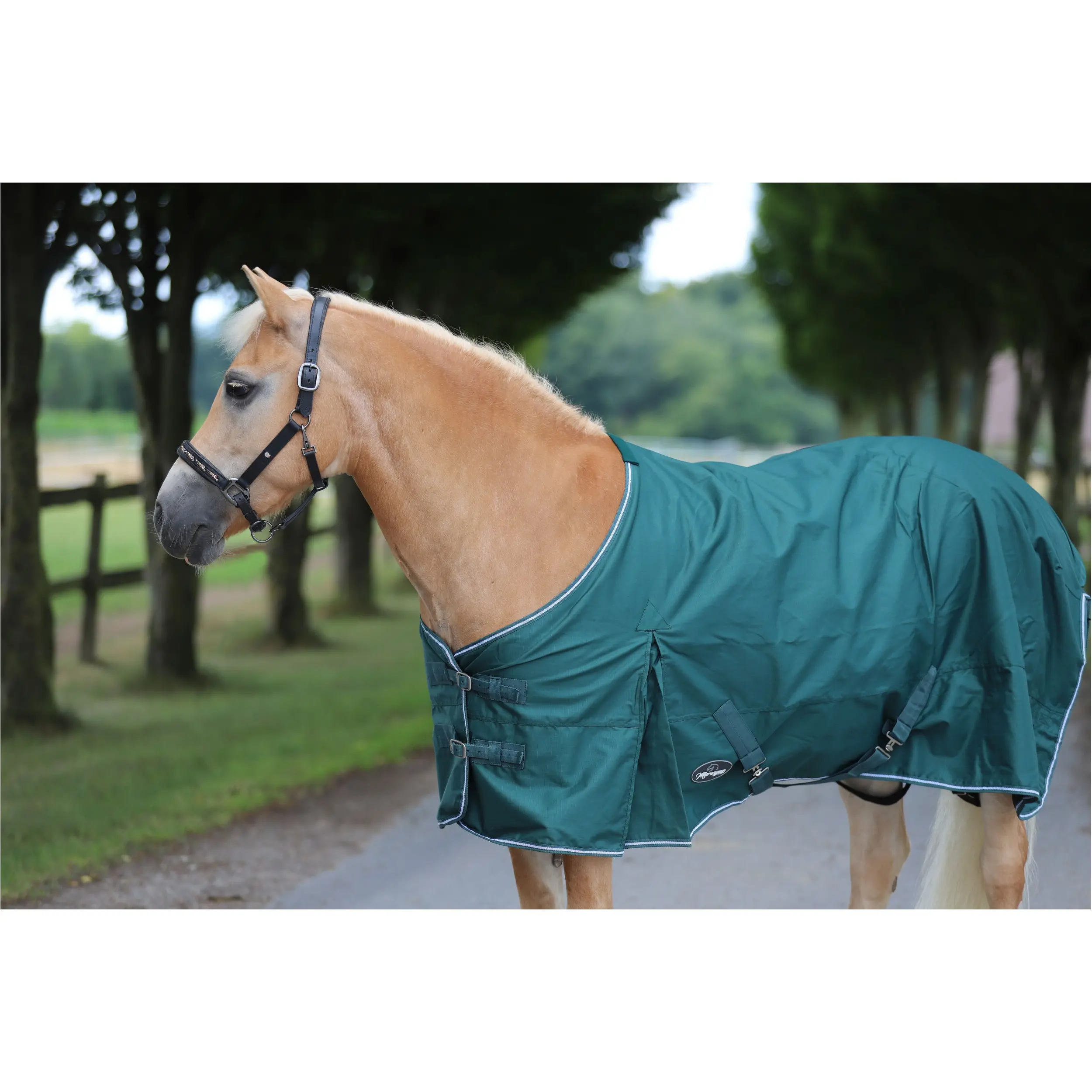 Regendecke 600D COMFORT tannengrün