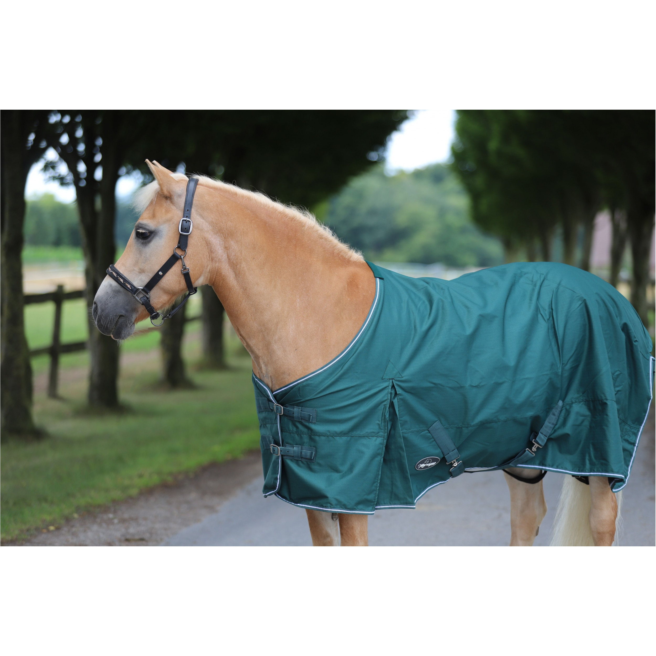 Regendecke 600D COMFORT tannengrün