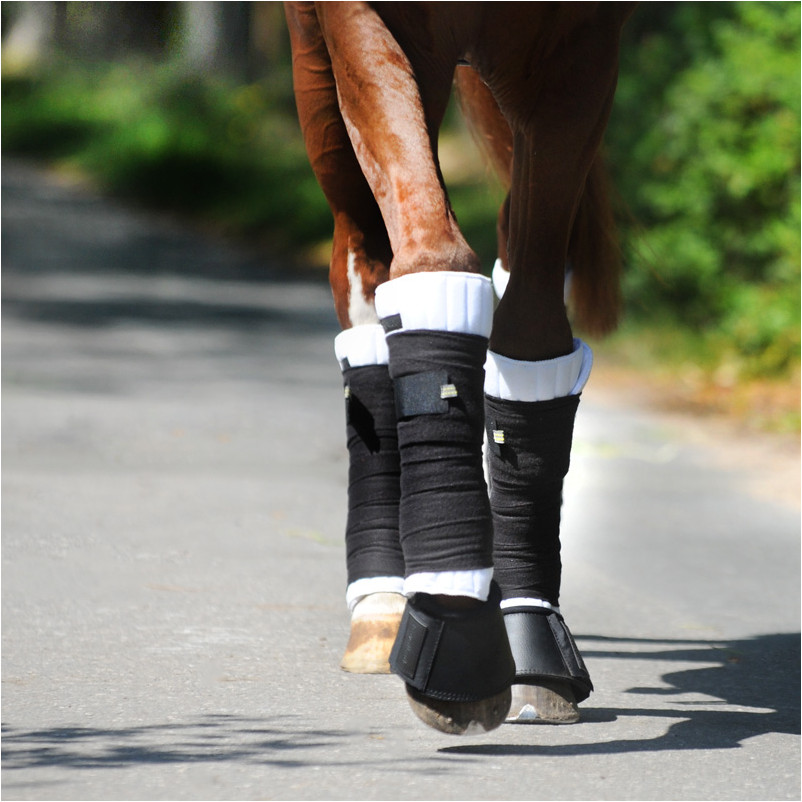 Bandagenunterlagen (2er Set) KLIMATEX weiß Bandagenunterlagen (2er Set) KLIMATEX weiß