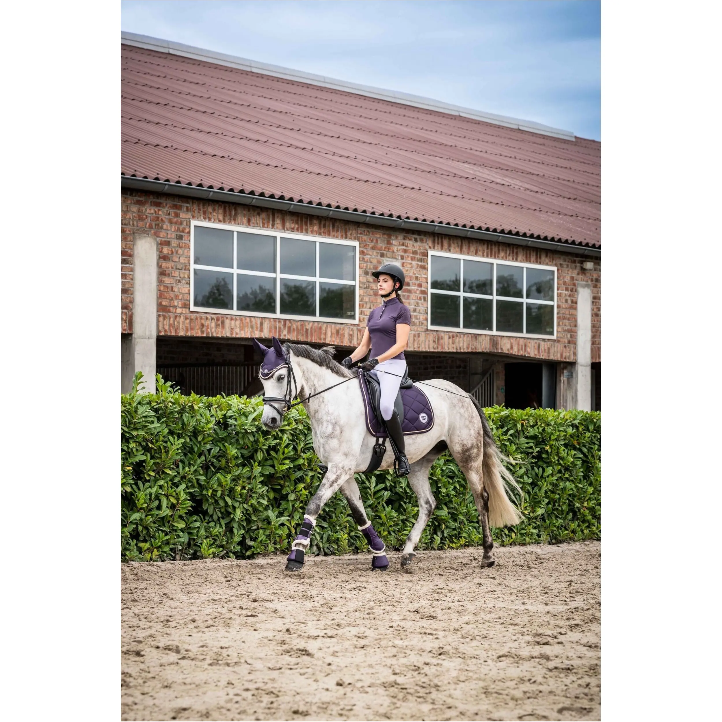 Hufglocken COMFORT PREMIUM FUR dunkellila Hufglocken COMFORT PREMIUM FUR dunkellila