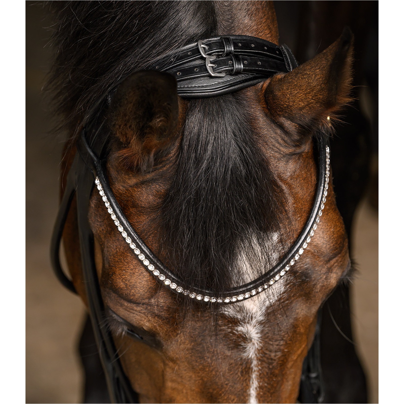Trensenzaum schwedisch kombiniert S-Line GRACE schwarz