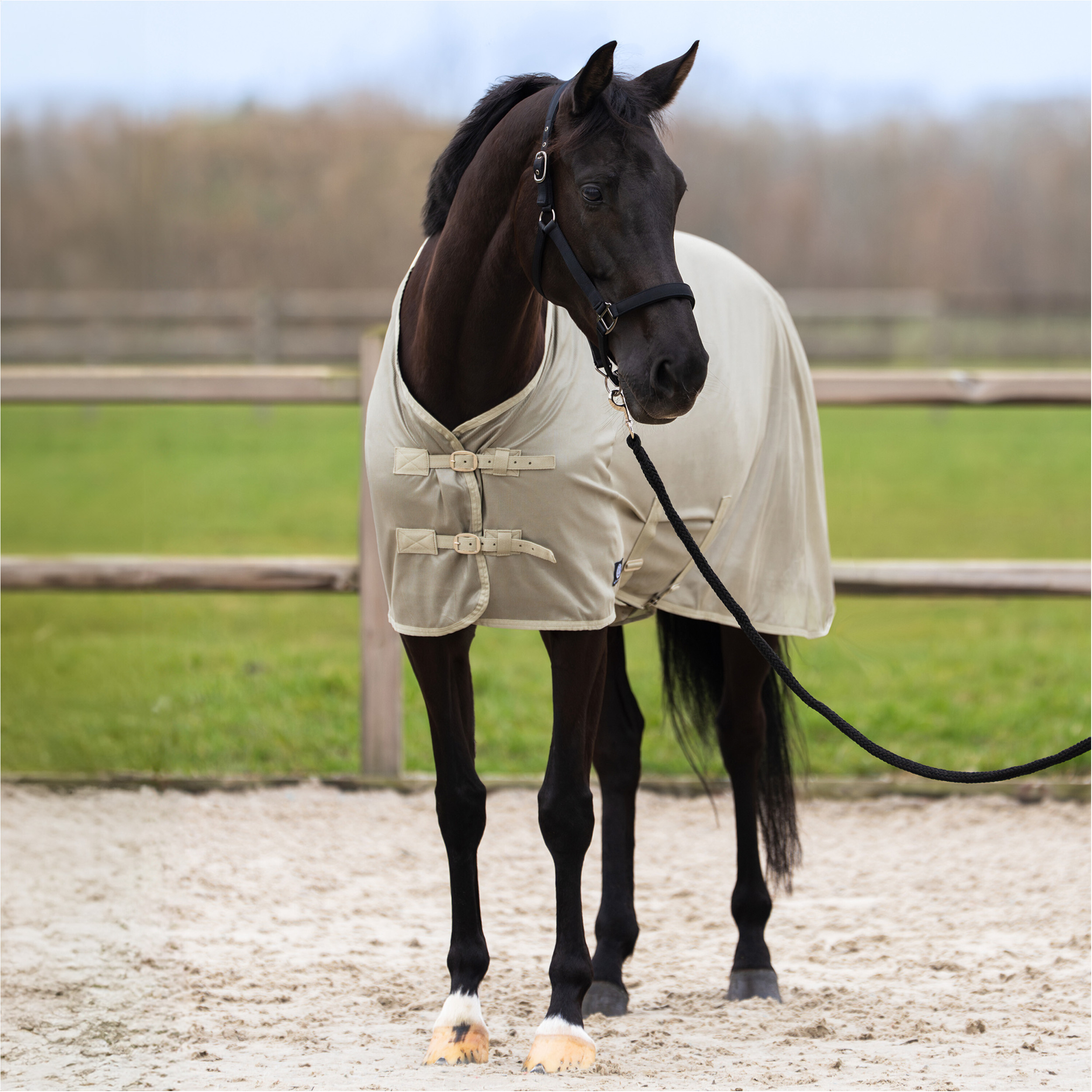 Fliegendecke mit Halsteil (abnehmbar) IRHReese light olive