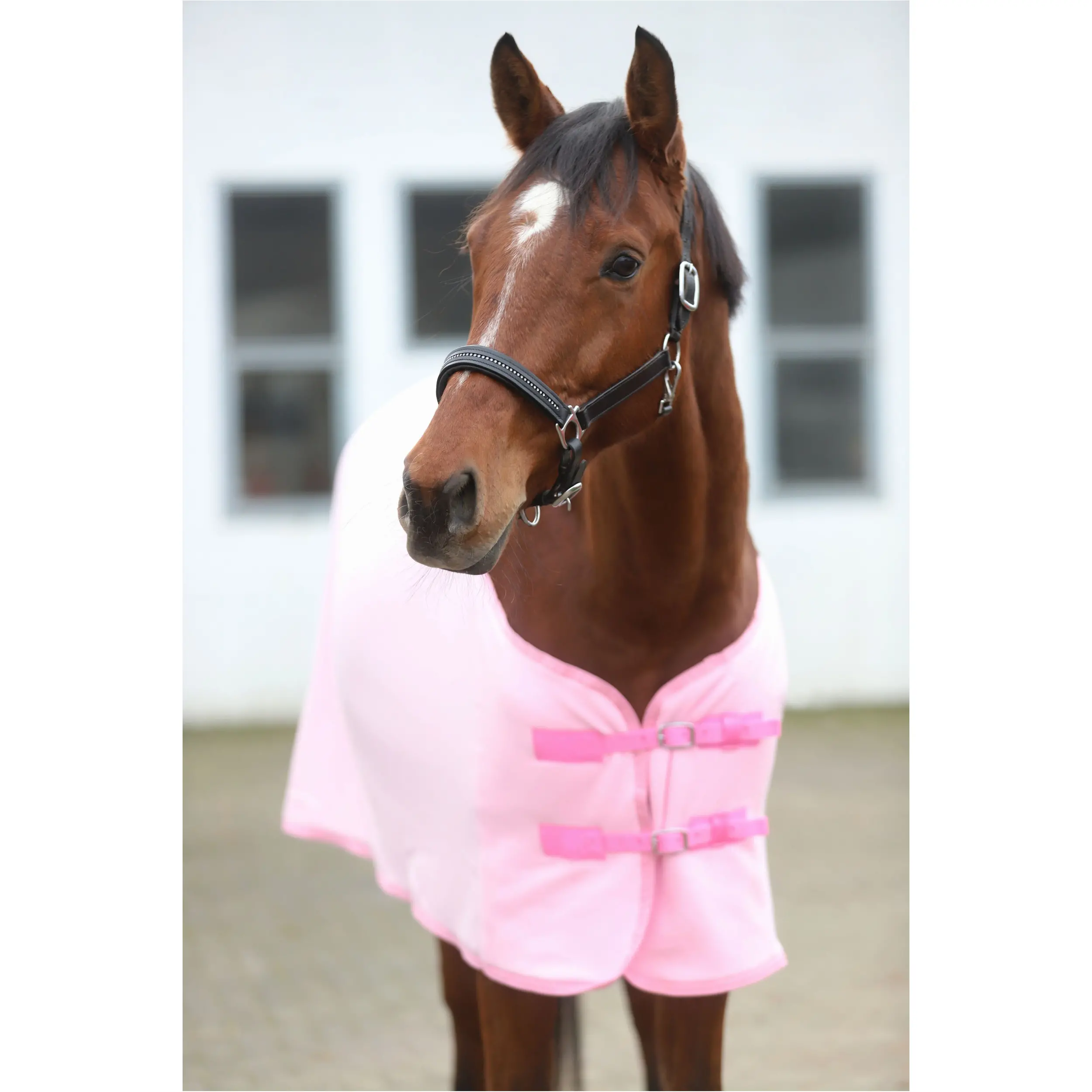 Abschwitzdecke BASICLINE rosa