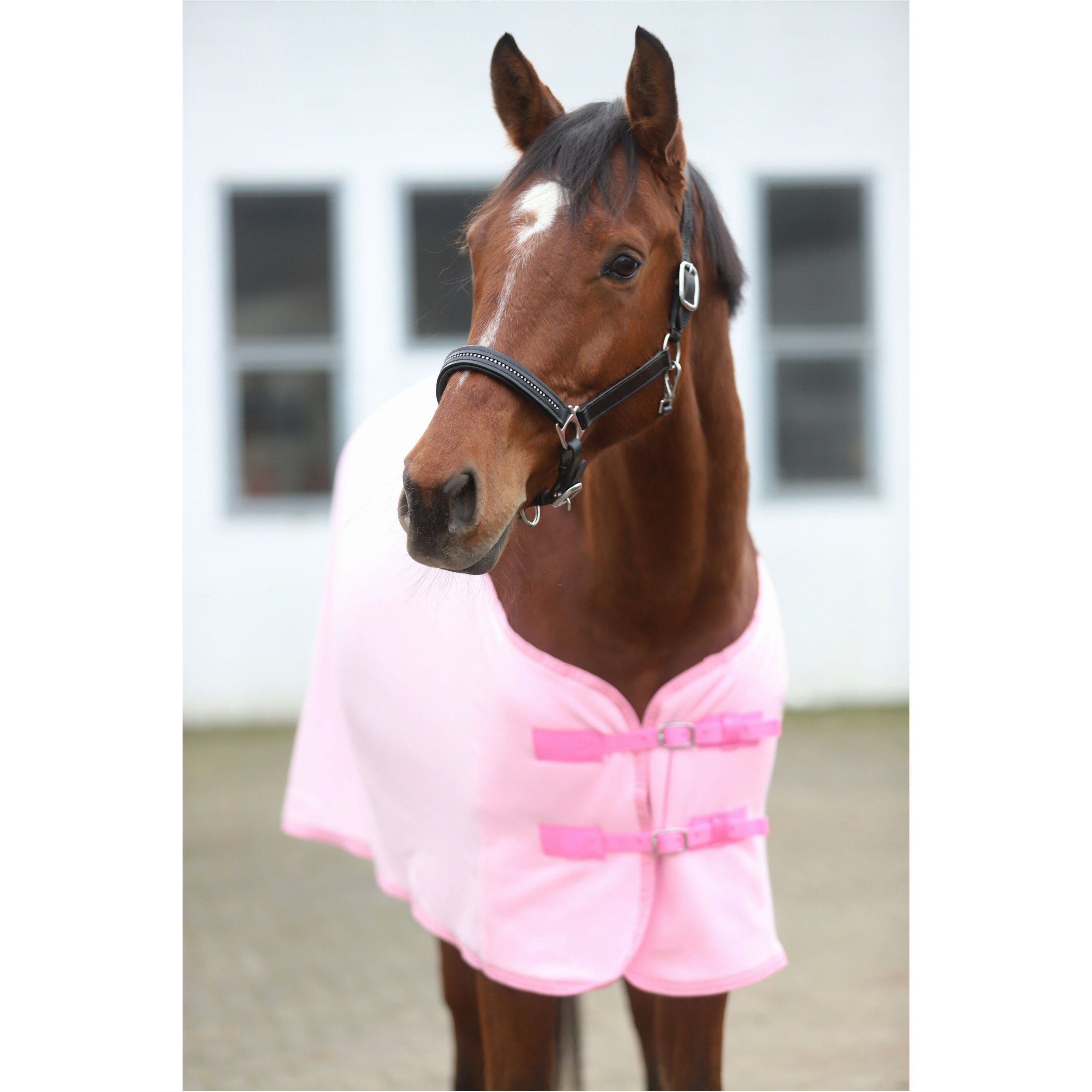 Abschwitzdecke BASICLINE rosa Abschwitzdecke BASICLINE rosa