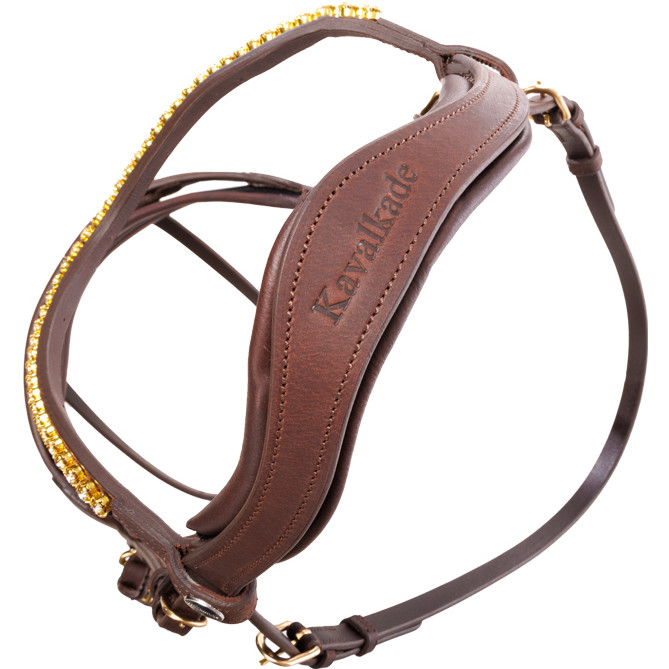 Trensenzaum englisch kombiniert CALIANO CERRA Leder geölt braun/messing