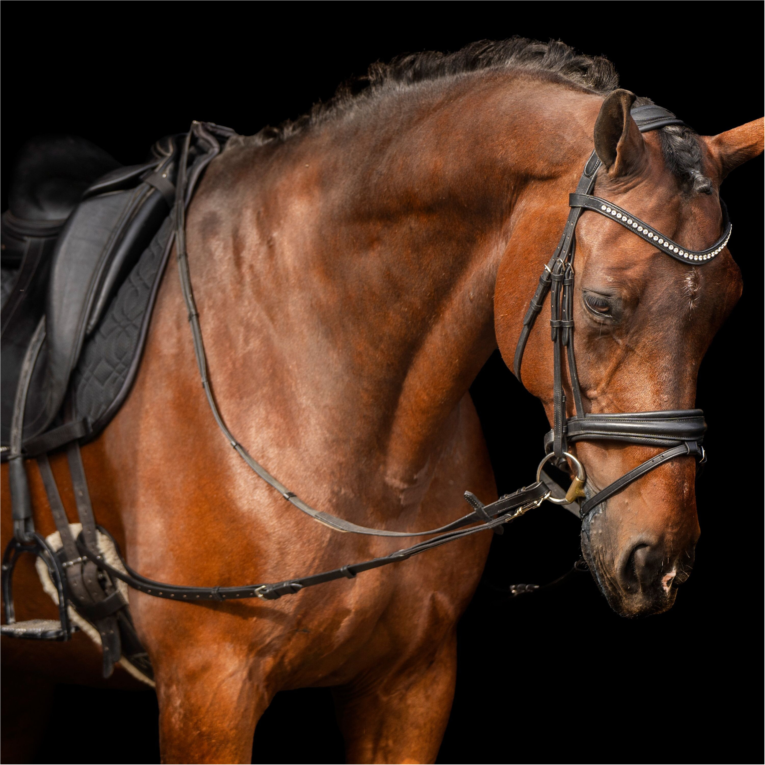 Ausbinder Leder mit Elastik schwarz