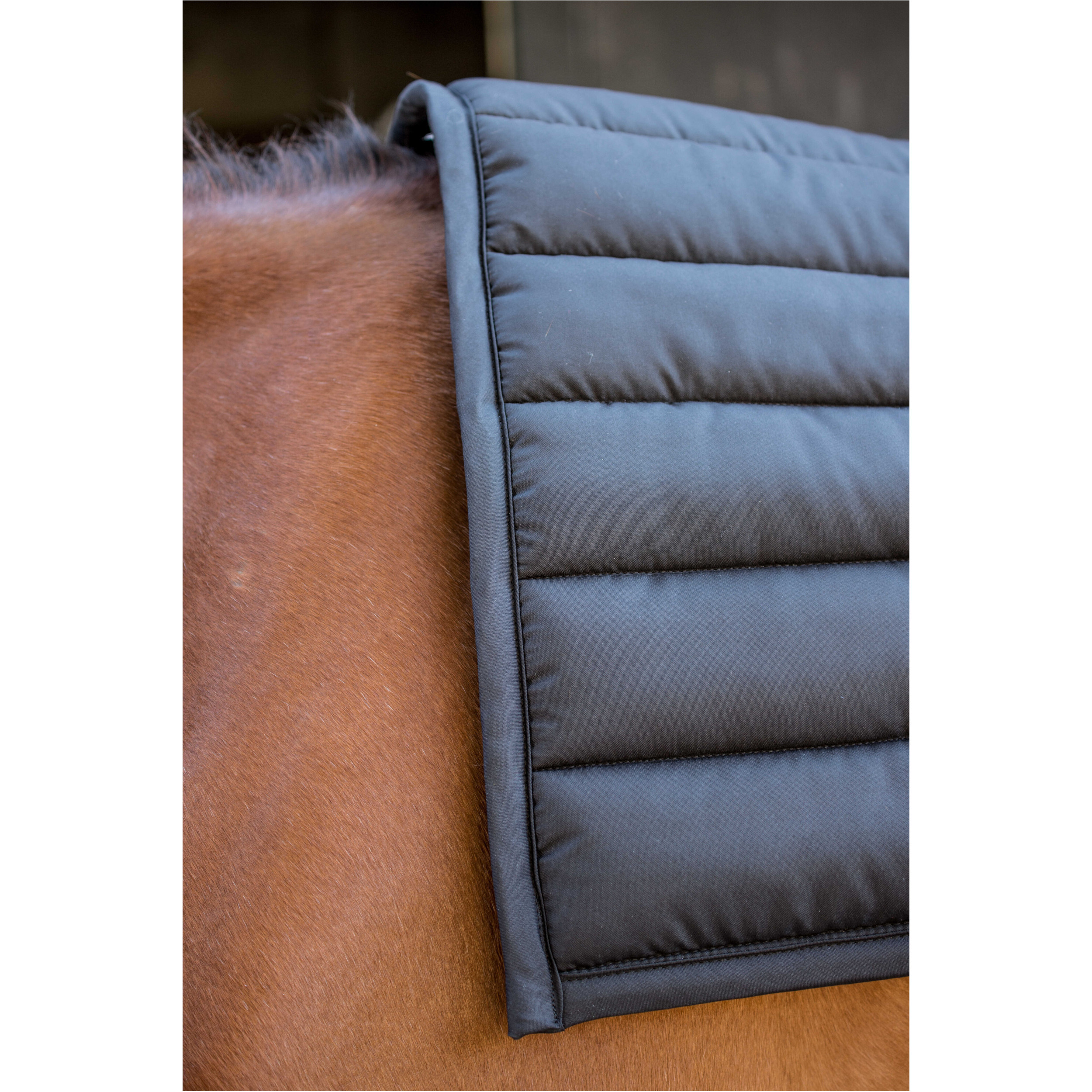Schabracke BIG PAD schwarz Warmblut