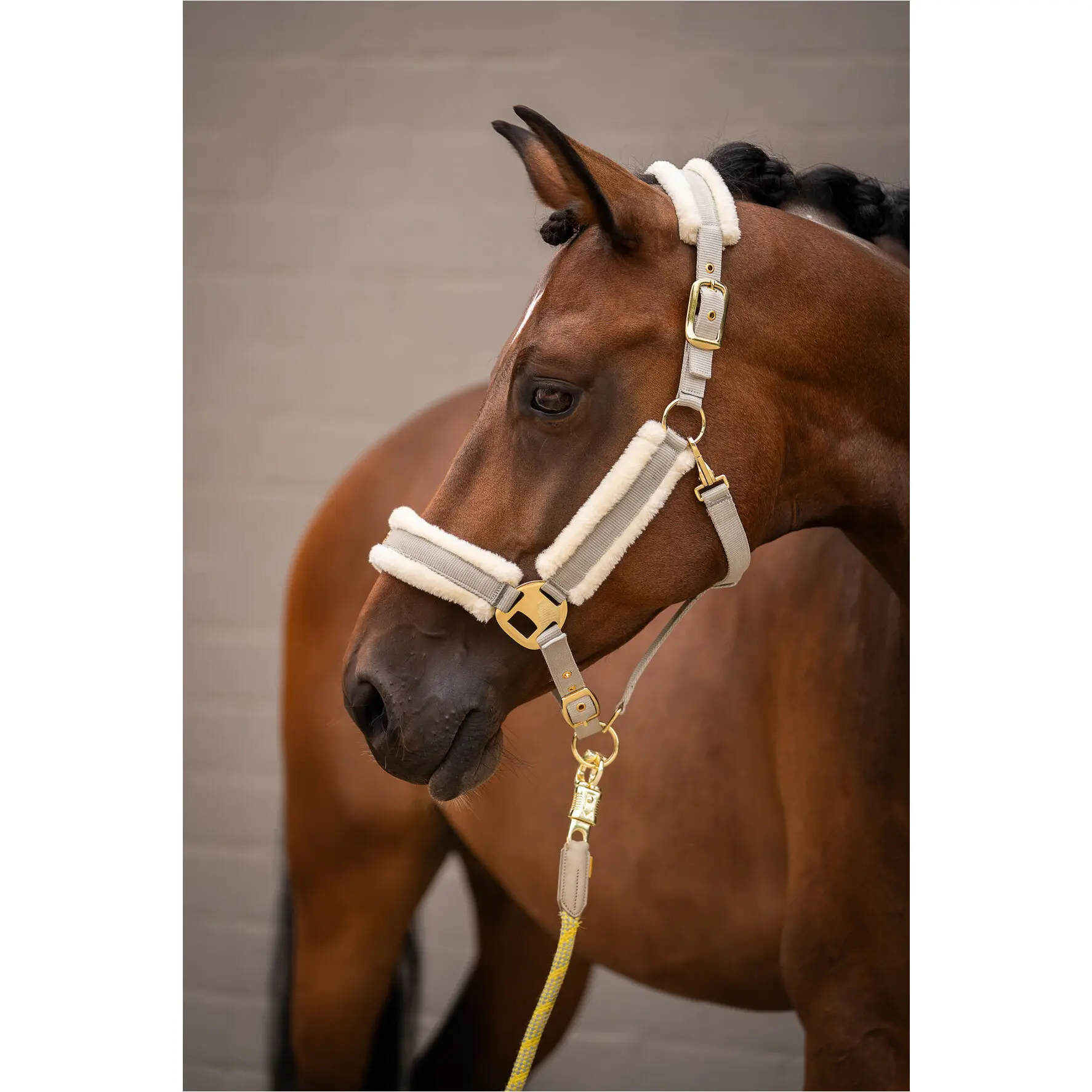 Halfter LIMONE ELEGANT grau/beige