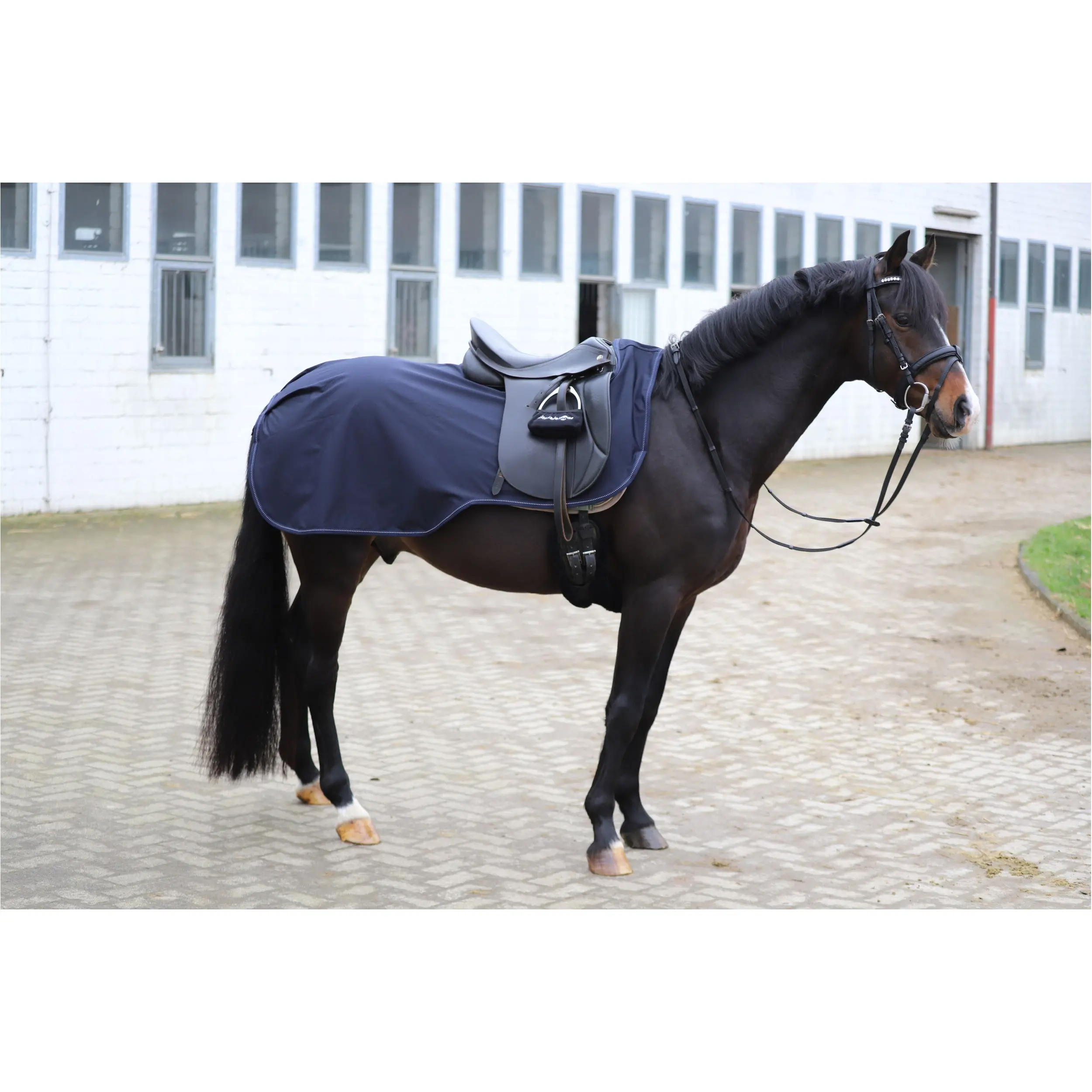 Ausreitdecke EXCLUSIVE dark navy