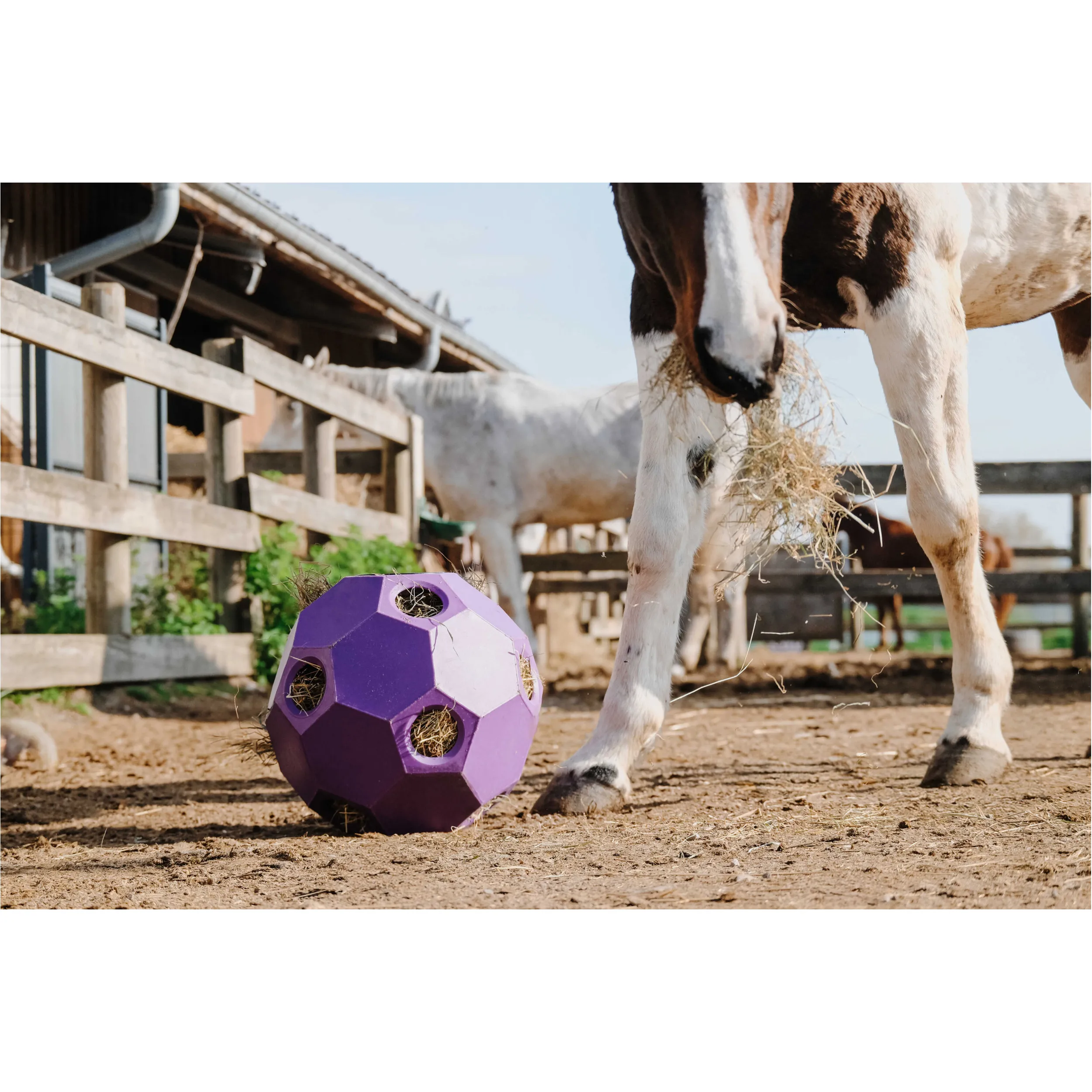 Slow-Feeder-Ball für Heu violett 42cm