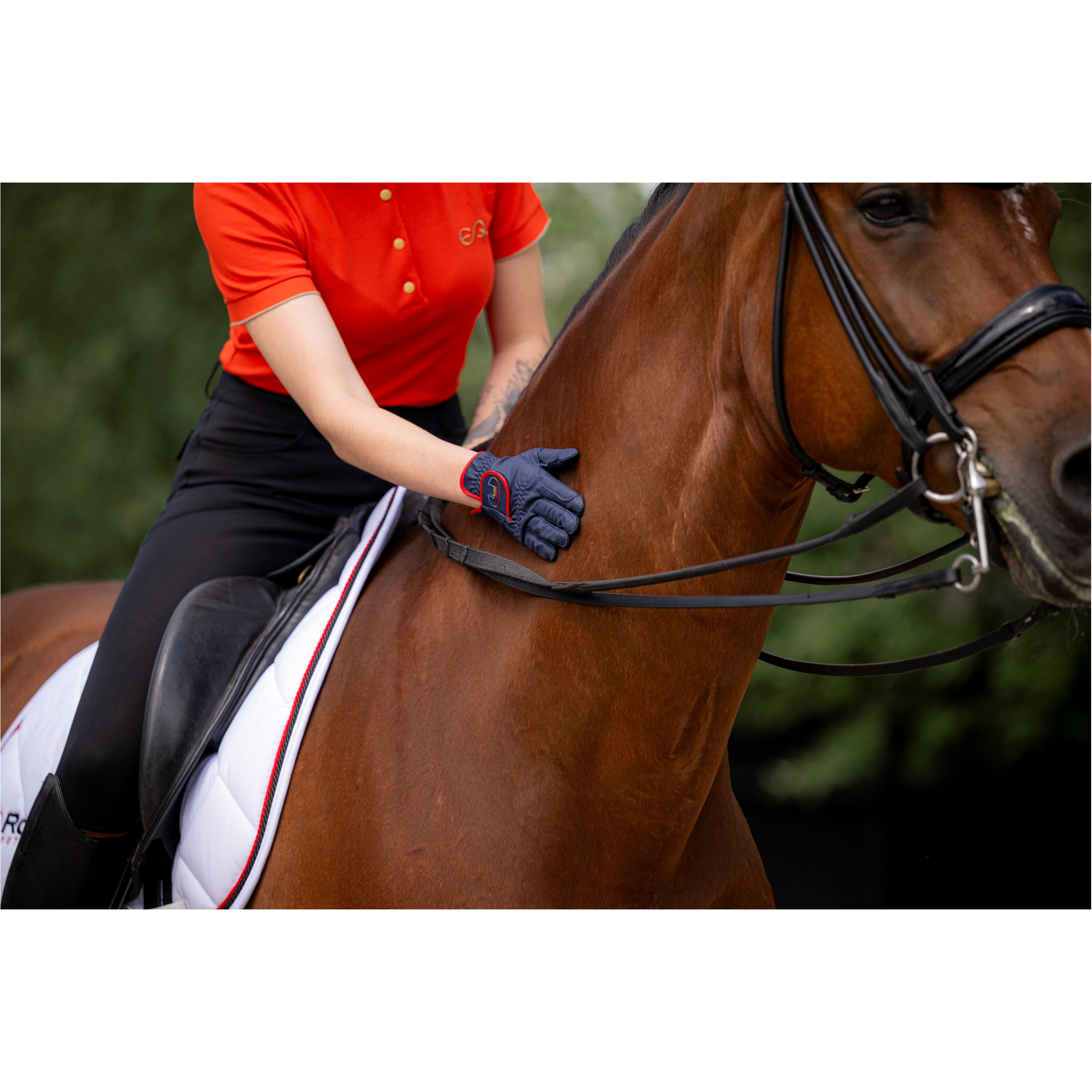 Reithandschuhe MARNE navy/rainbow Reithandschuhe MARNE navy/rainbow