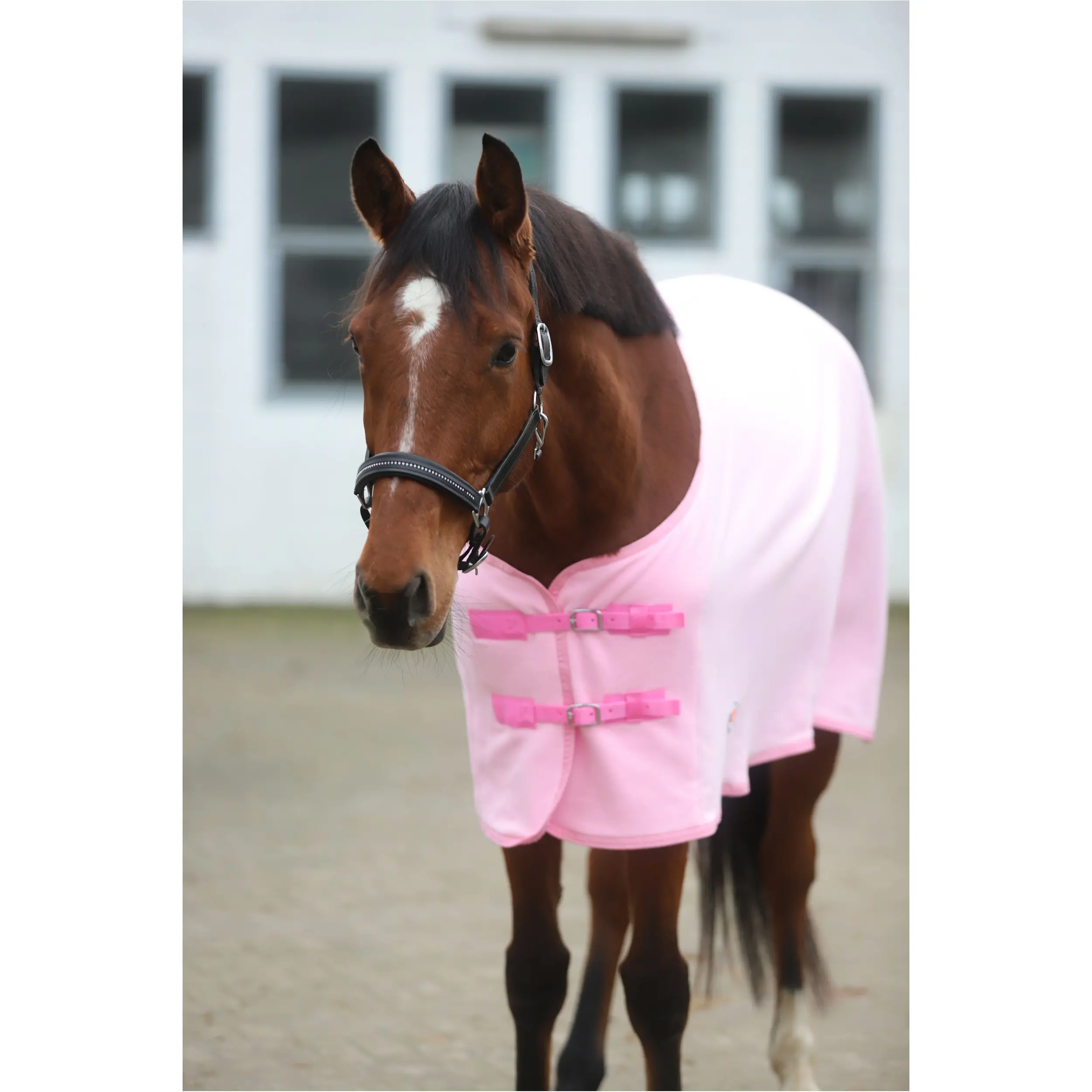 Abschwitzdecke BASICLINE rosa