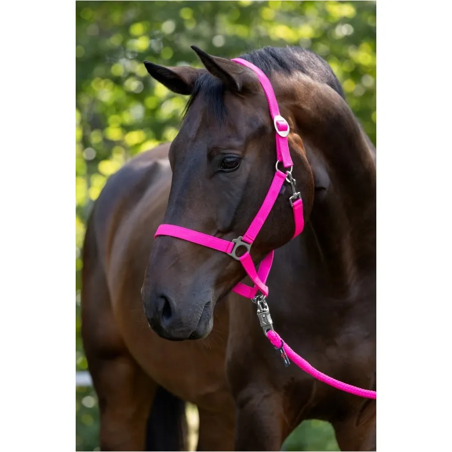 Halfter HIPPO pink