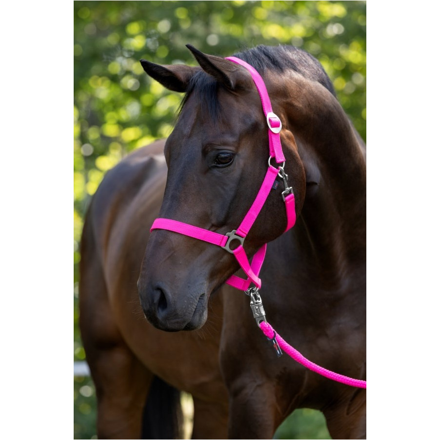 Halfter HIPPO pink