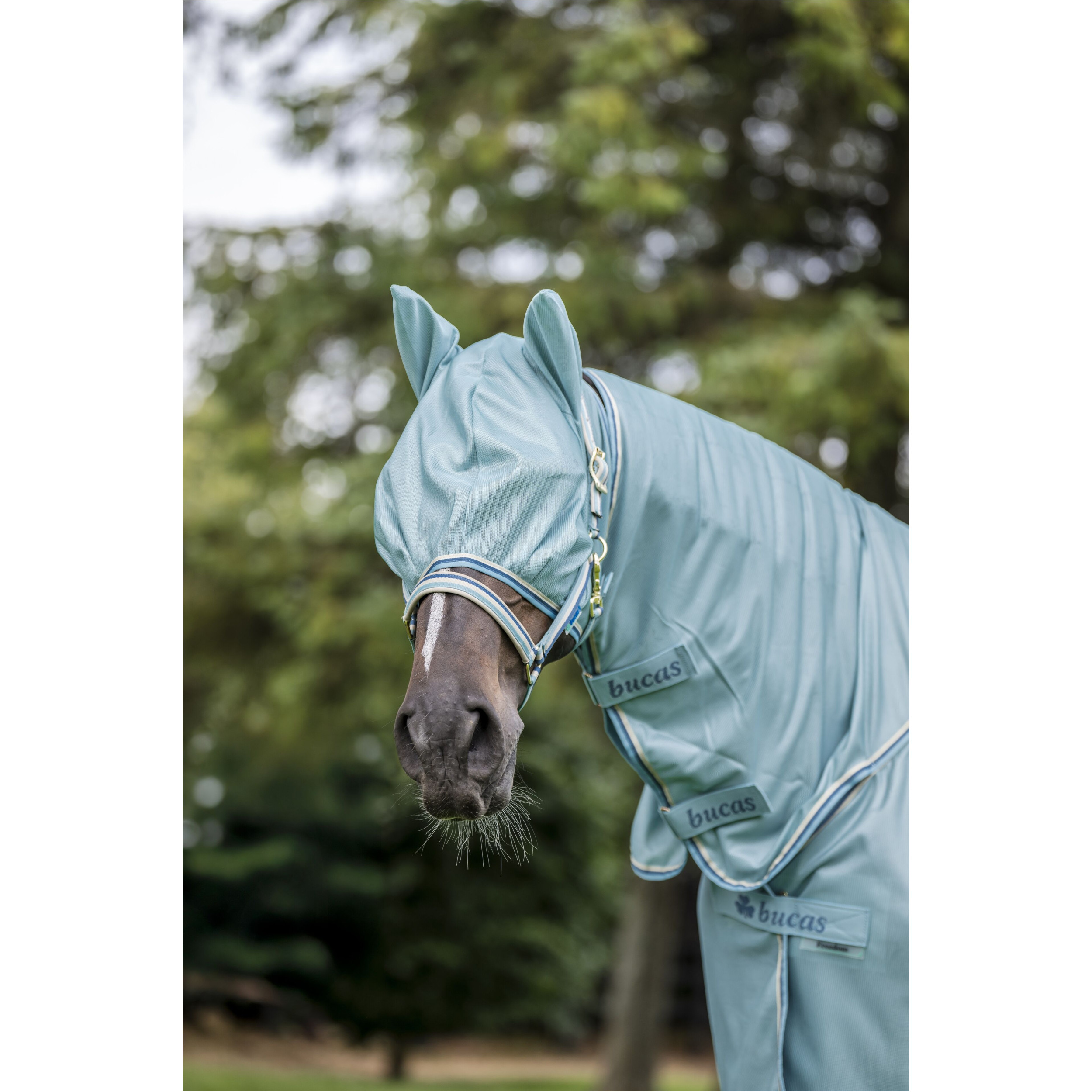 Fliegenmaske FREEDOM türkis