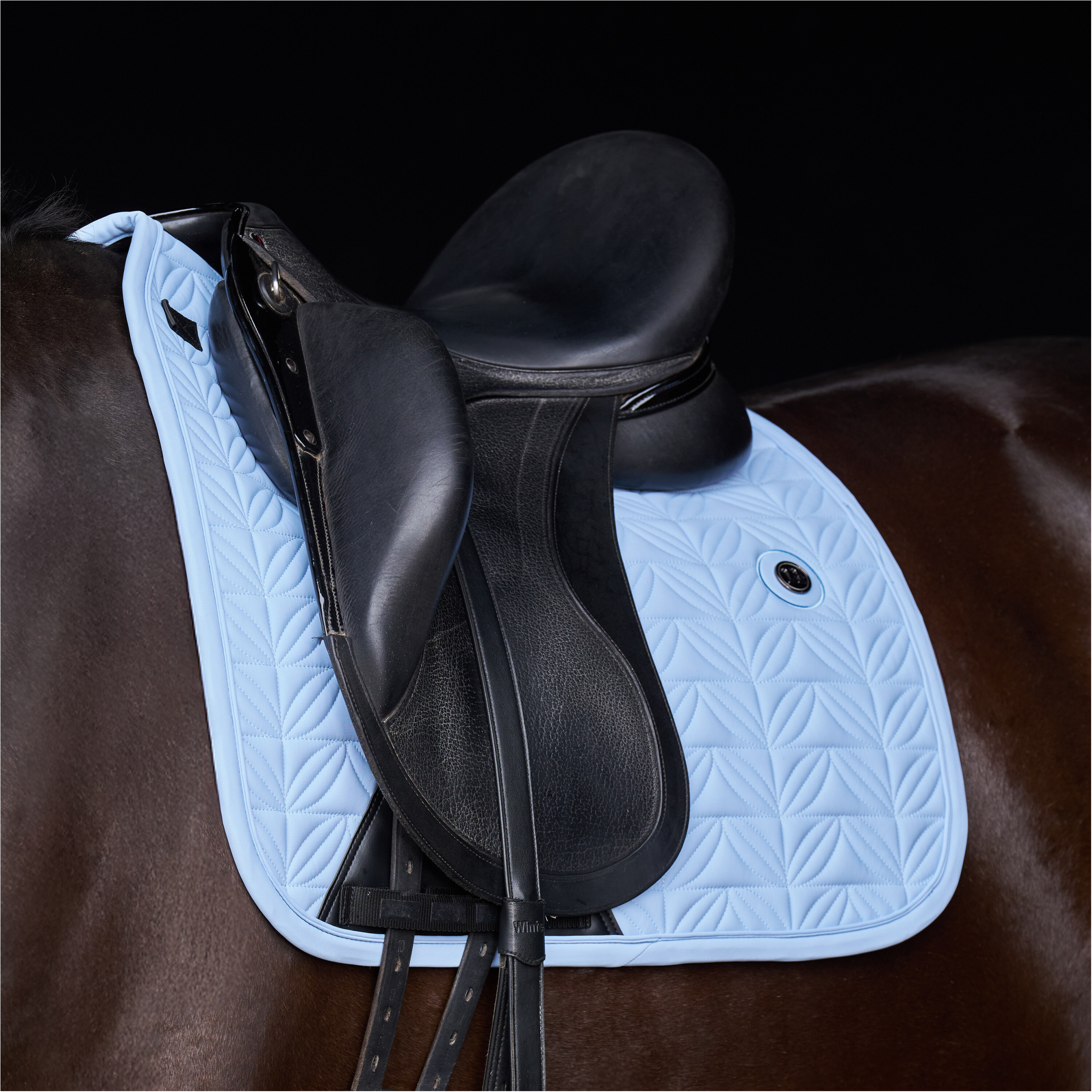 Schabracke HVPElisa powder blue Warmblut Dressur