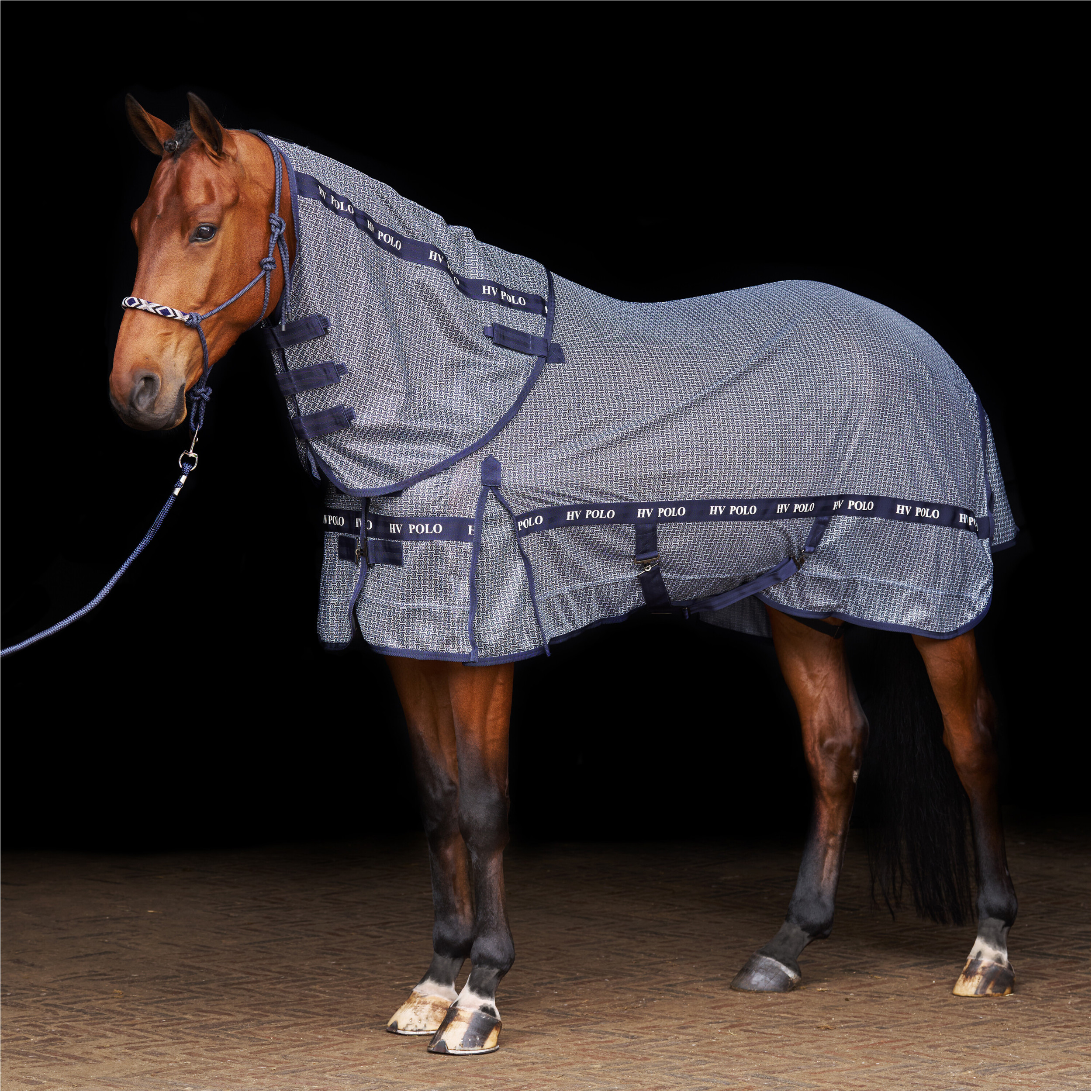 Fliegendecke HVPNena AOP navy