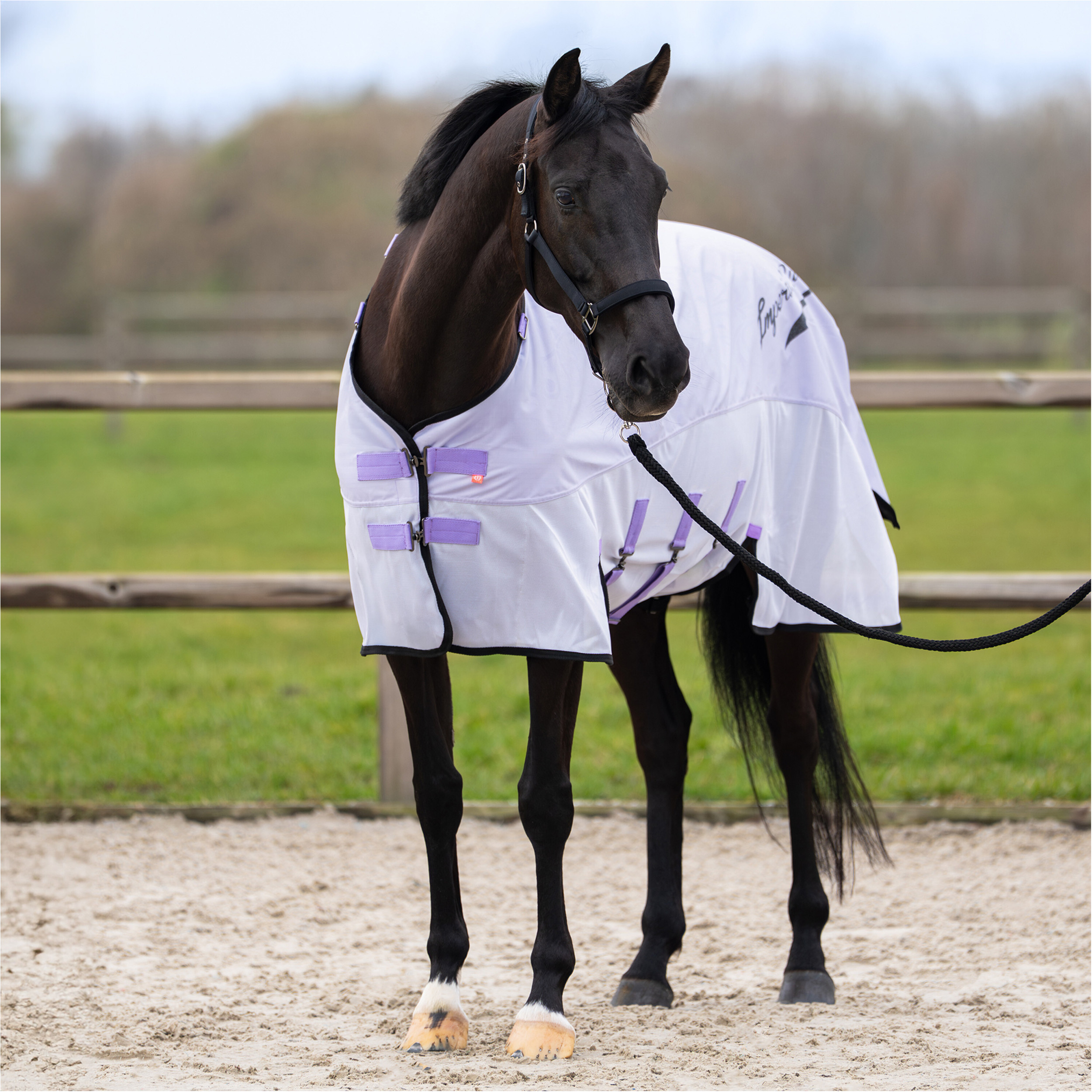 Regen- & Fliegendecke 600D IRHSuper-dry wisteria