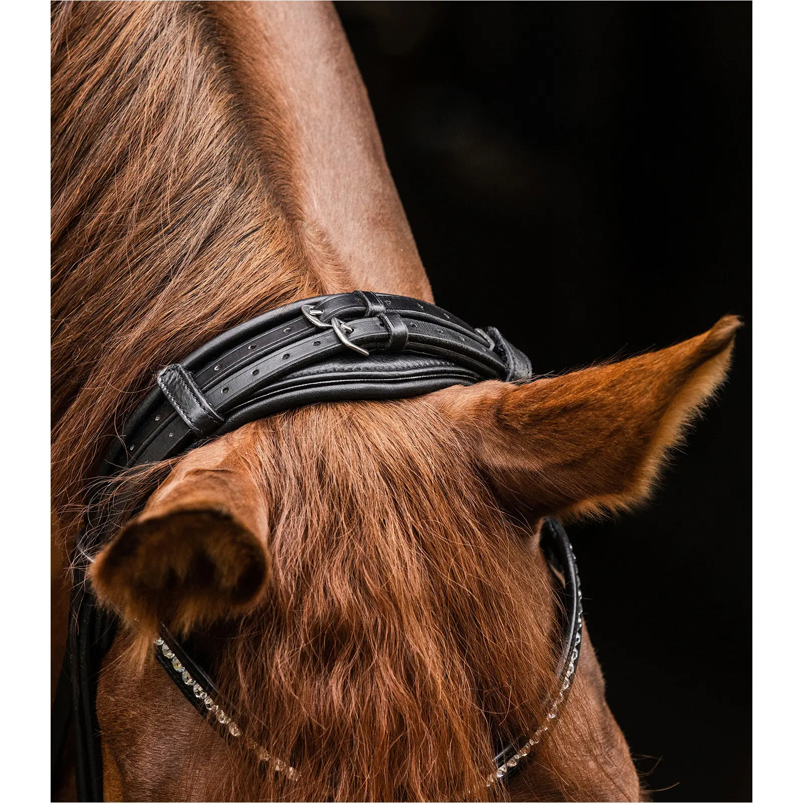 Trensenzaum S-Line MAGIC schwarz