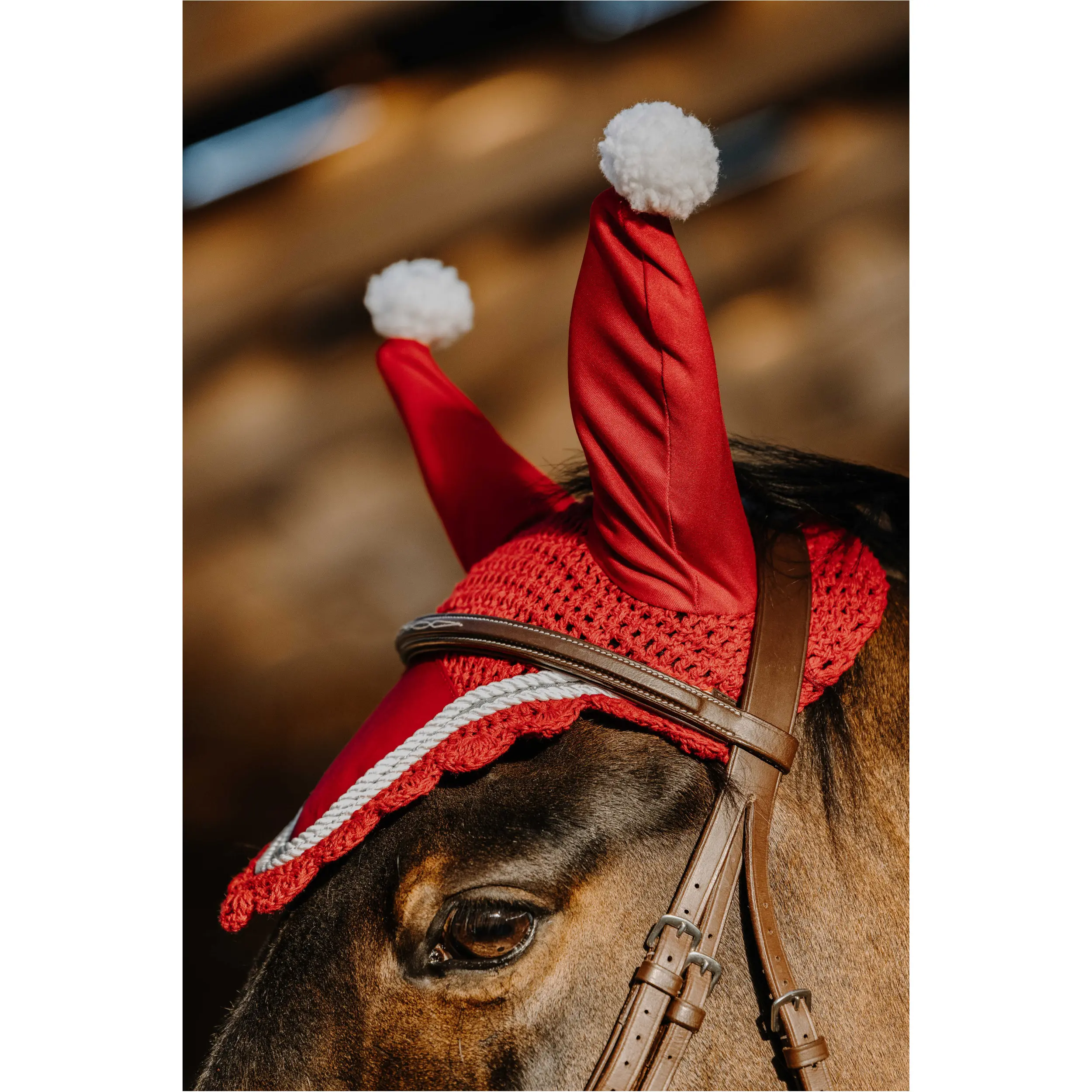 Fliegenhaube XMAS rot