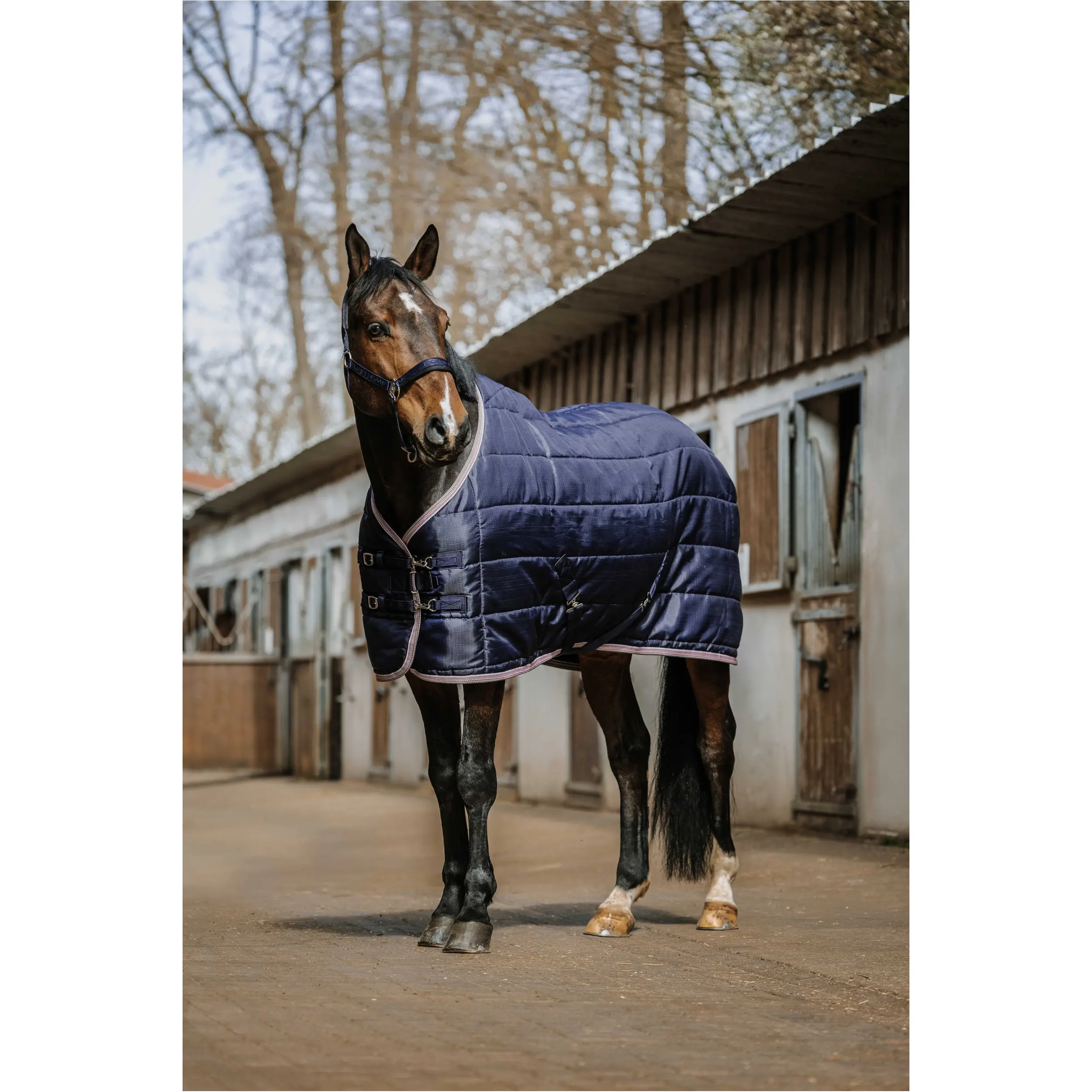 Stalldecke 50g Füllung 250D AZTEC navy