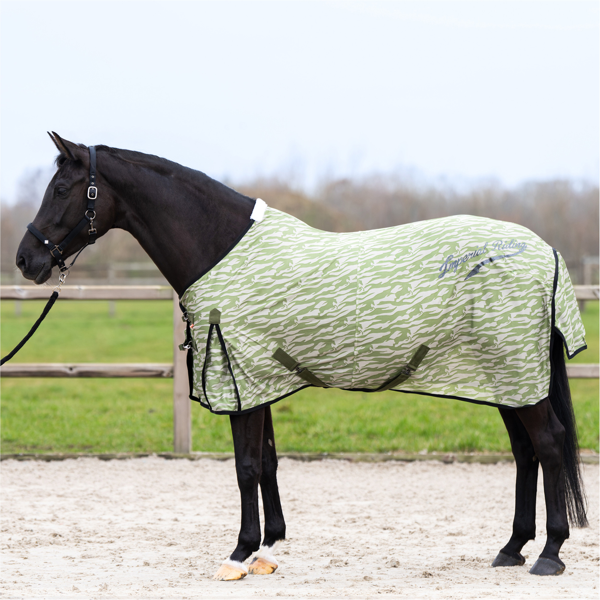 Fliegendecke IRHCarlys zebra AOP