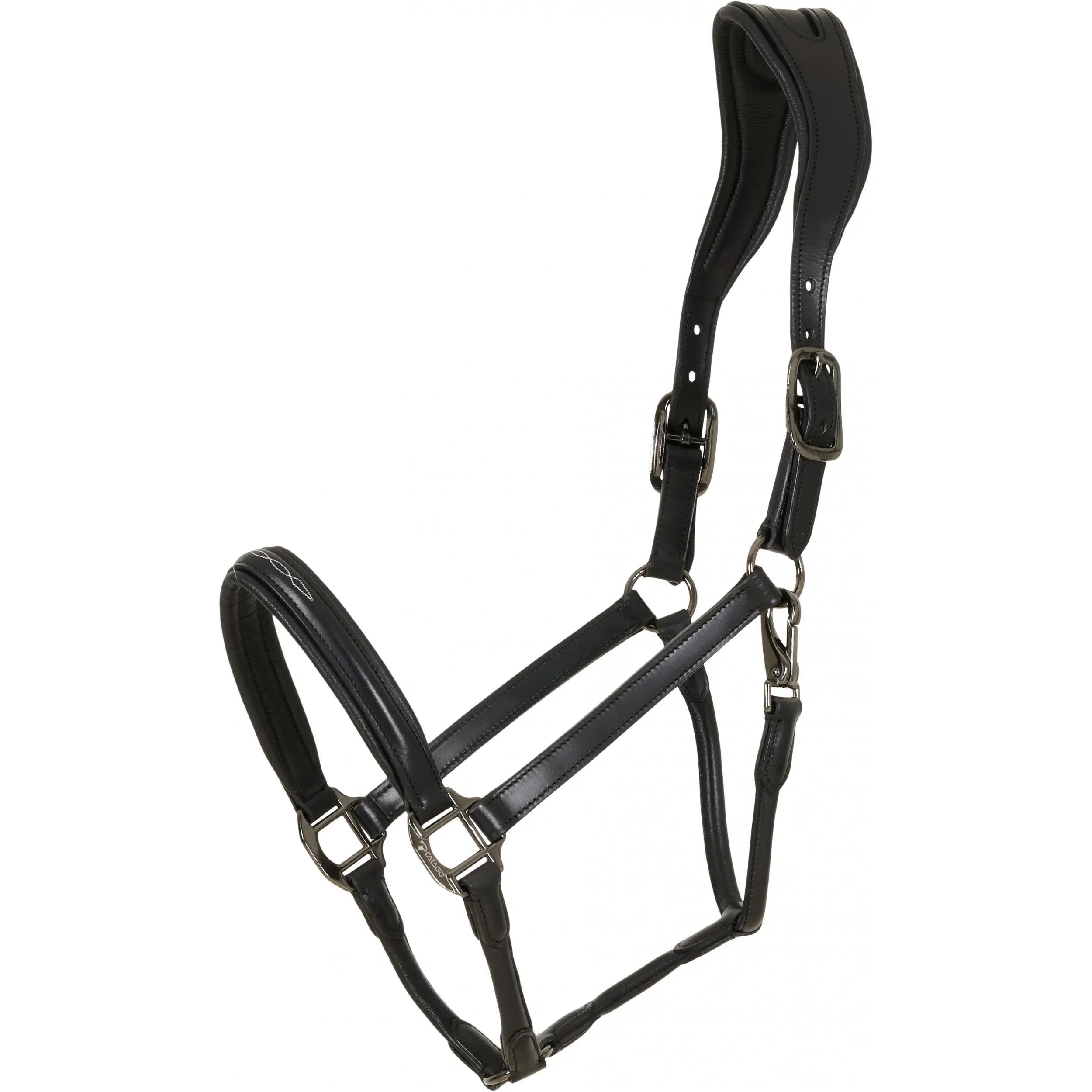 Lederhalfter NOVI 25.2 schwarz