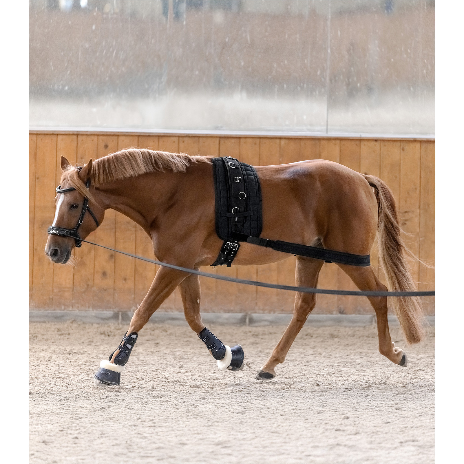 Kappzaum ANATOMIC Leder schwarz