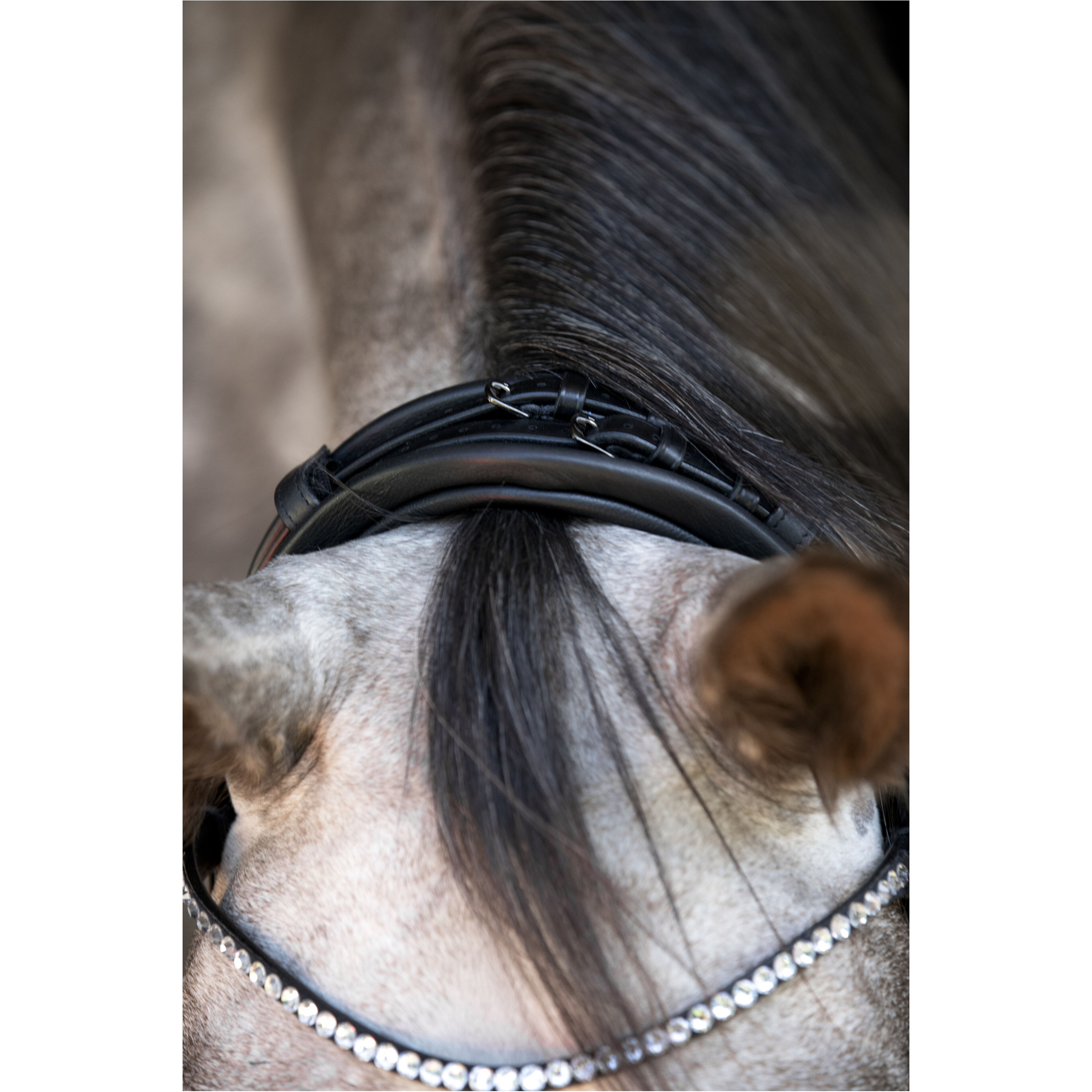 Trensenzaum rund genäht schwedisch kombiniert NIVAL 26.1 schwarz