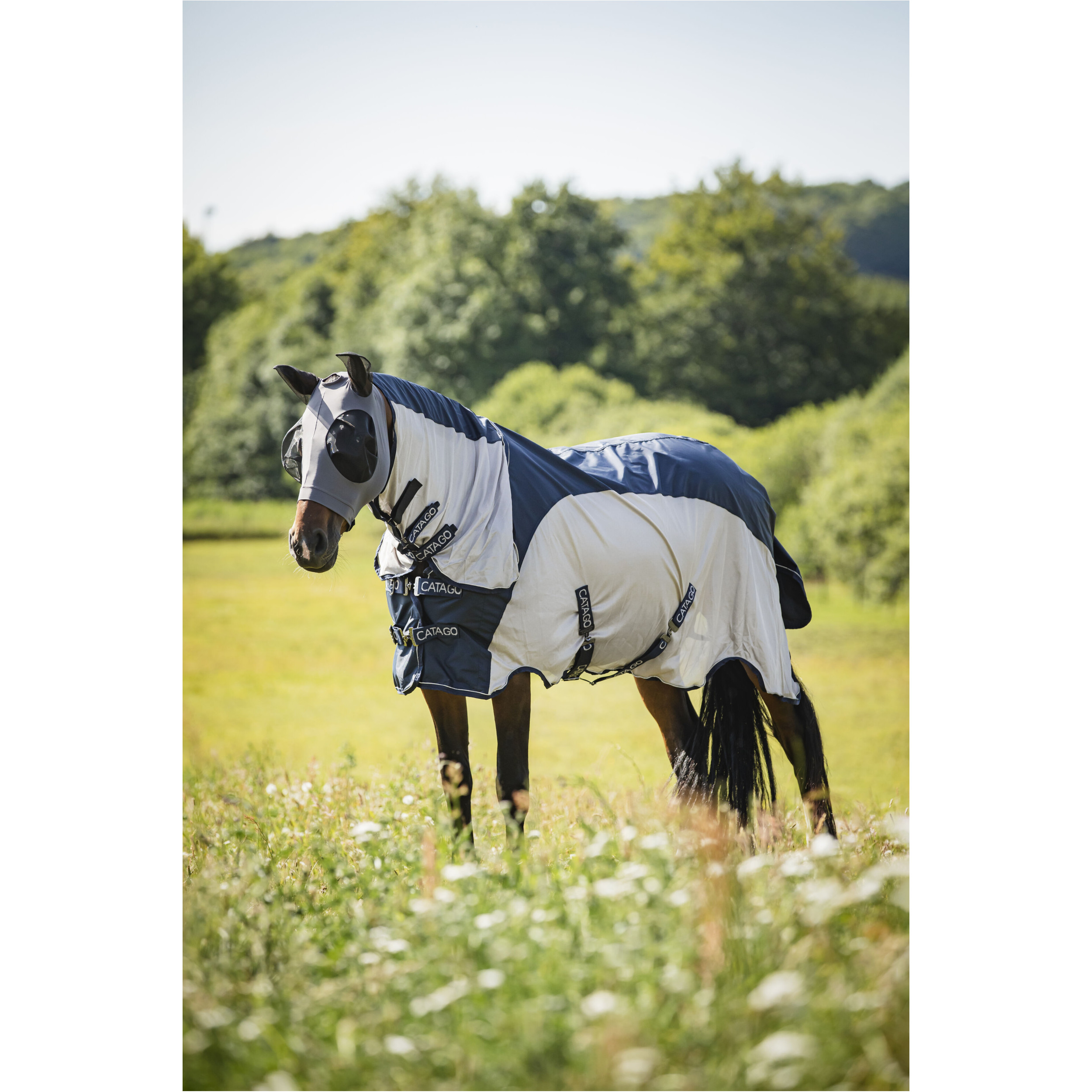 Fliegenmaske mit Reißverschluss asphalt