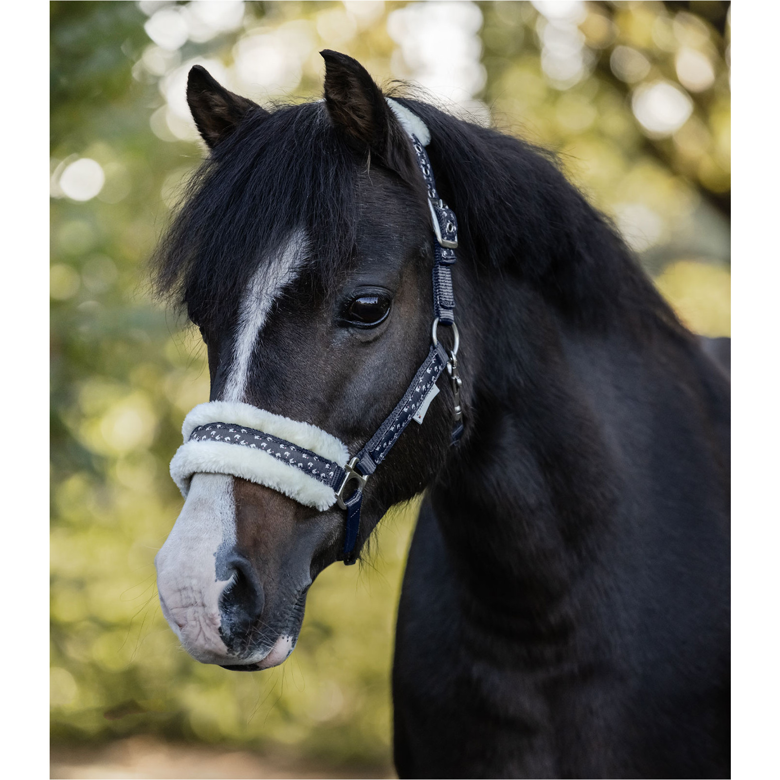 Halfter Set LUCKY nachtblau