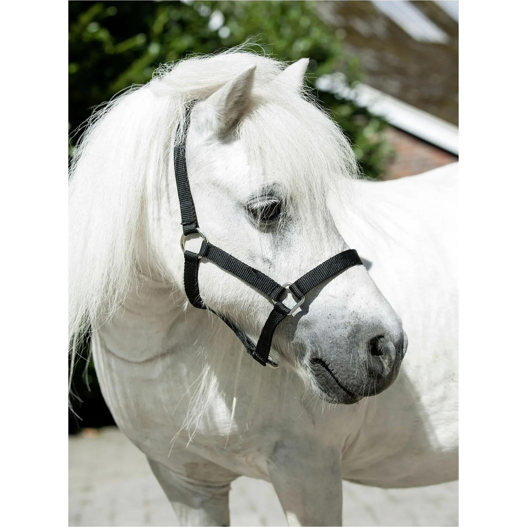 Halfter MINISHETTY schwarz