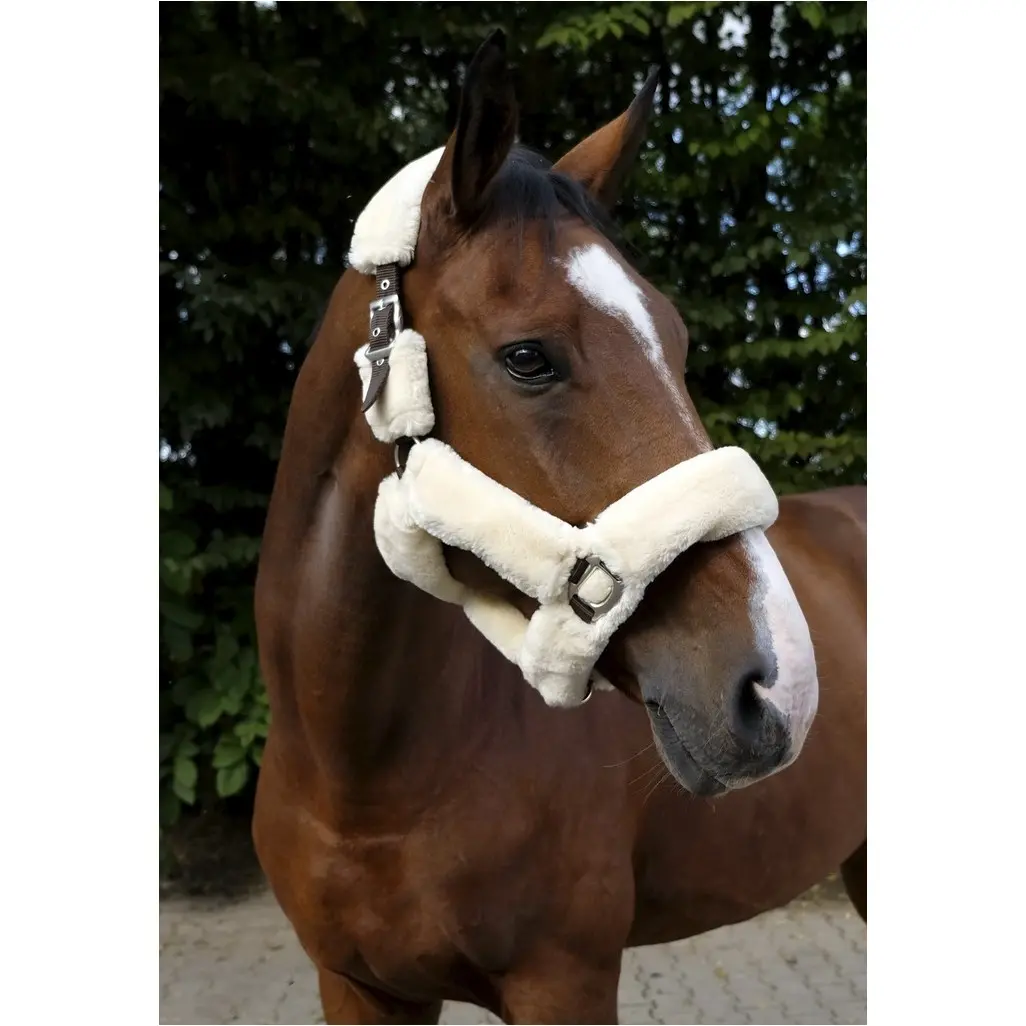 Halfter TEDDY schokobraun