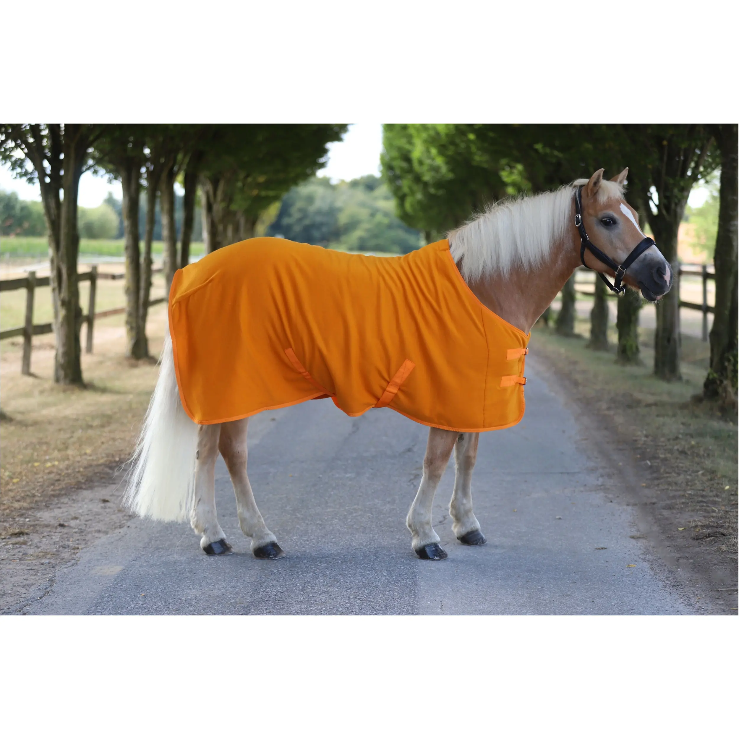 Abschwitzdecke mit Kreuzgurt BASICLINE rost Abschwitzdecke mit Kreuzgurt BASICLINE rost