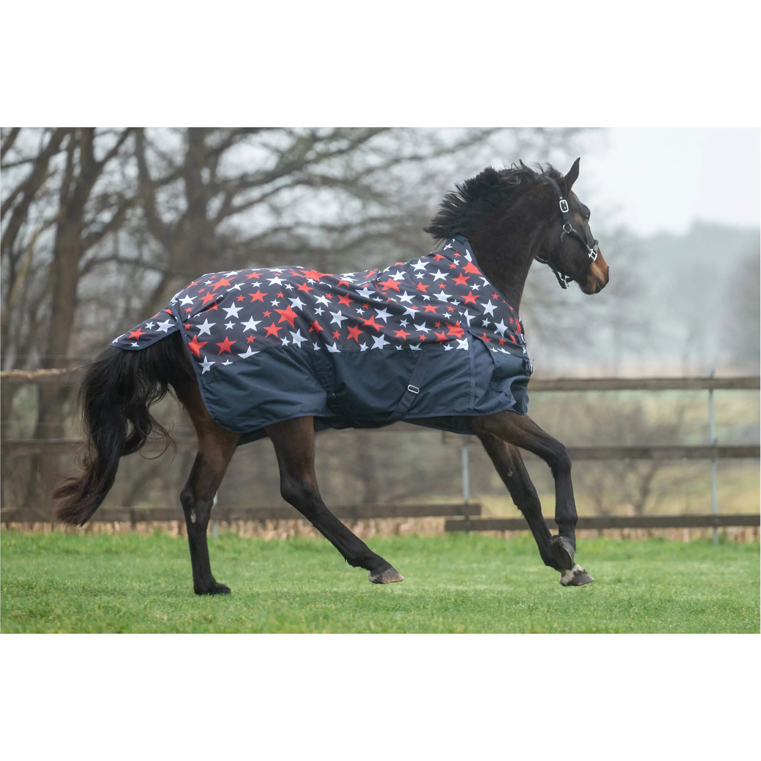 Weidedecke High Neck 100g Füllung 600D NORWICH navy mit Sternenmuster