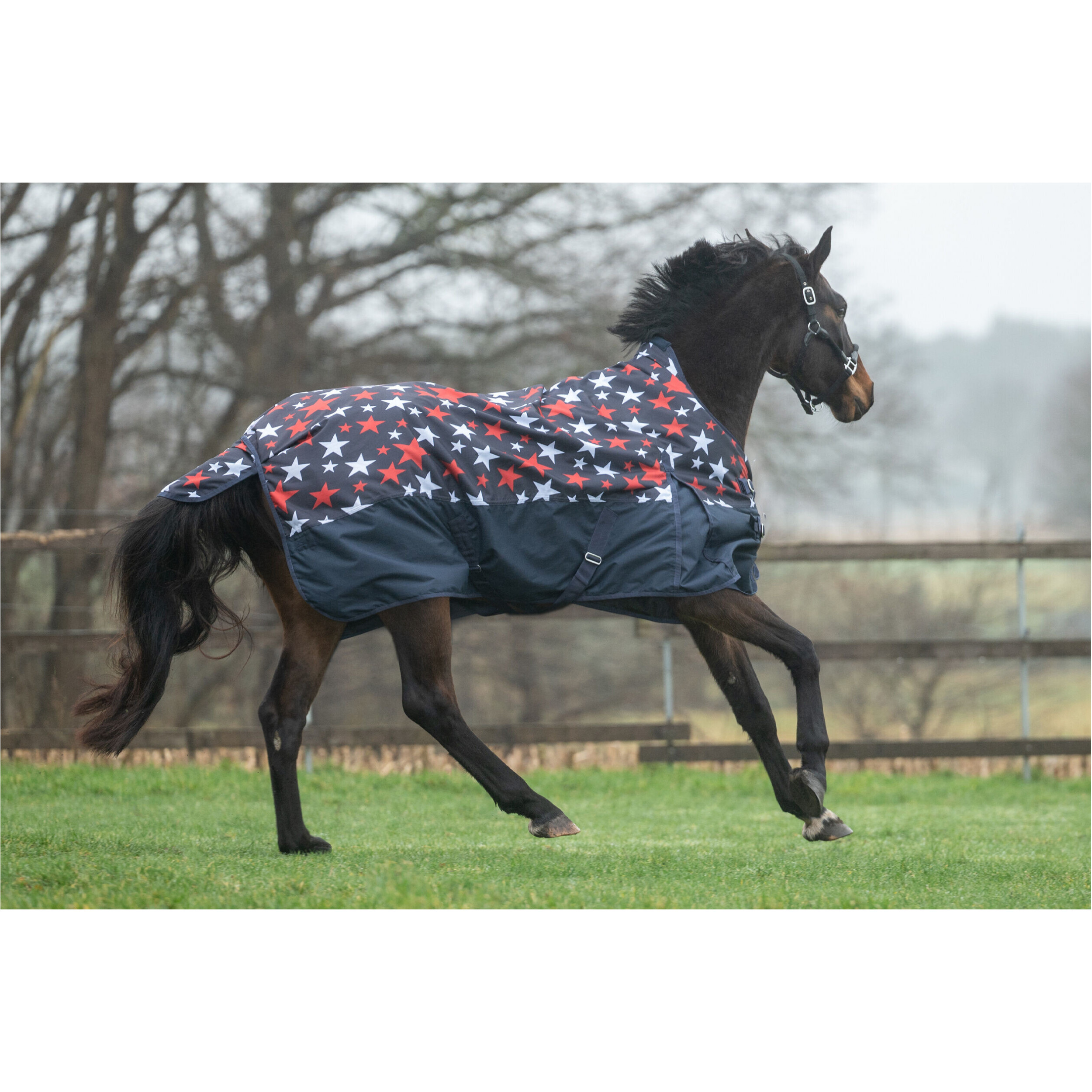 Weidedecke High Neck 100g Füllung 600D NORWICH navy mit Sternenmuster