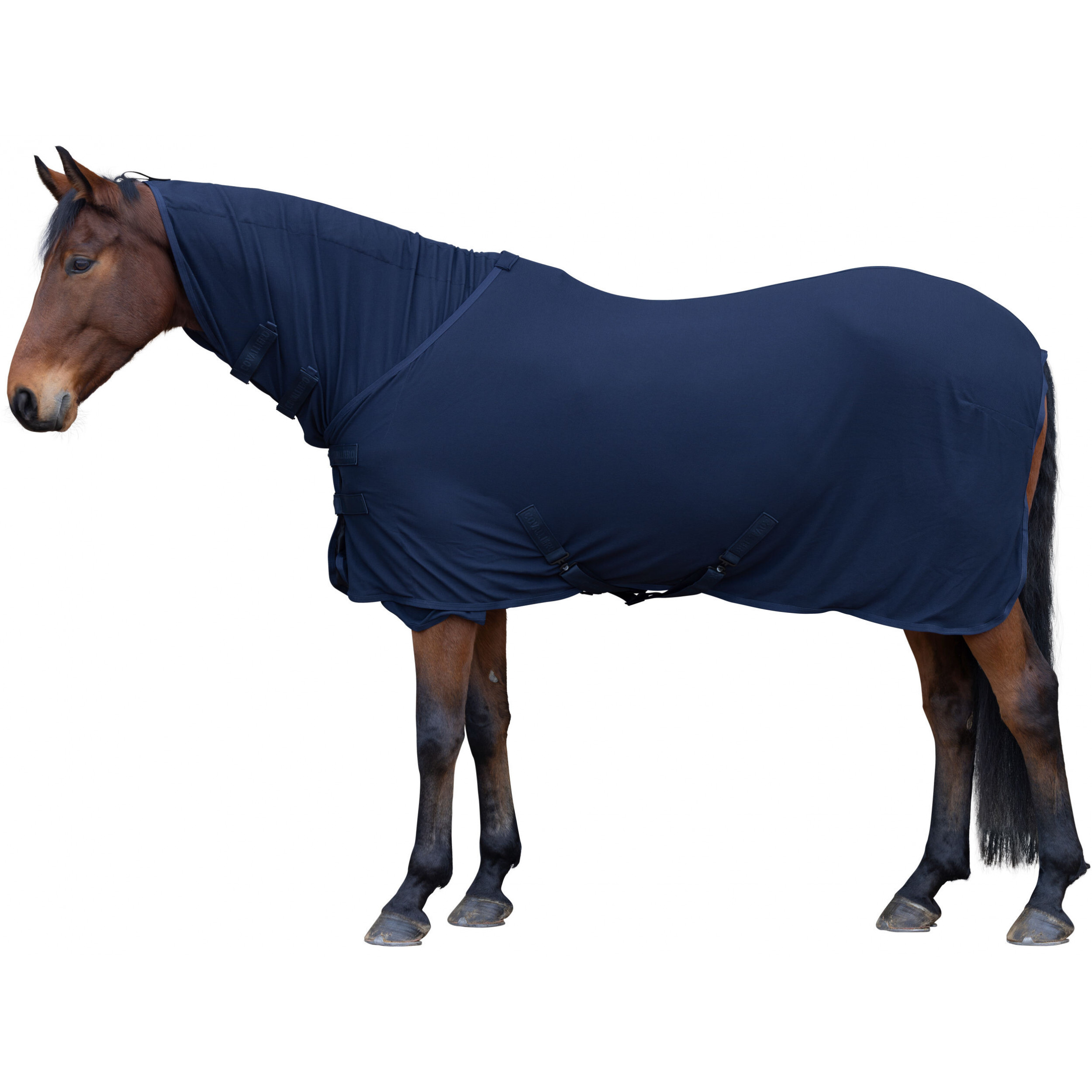 Abschwitzdecke LIGHT H/W 2025 dark navy