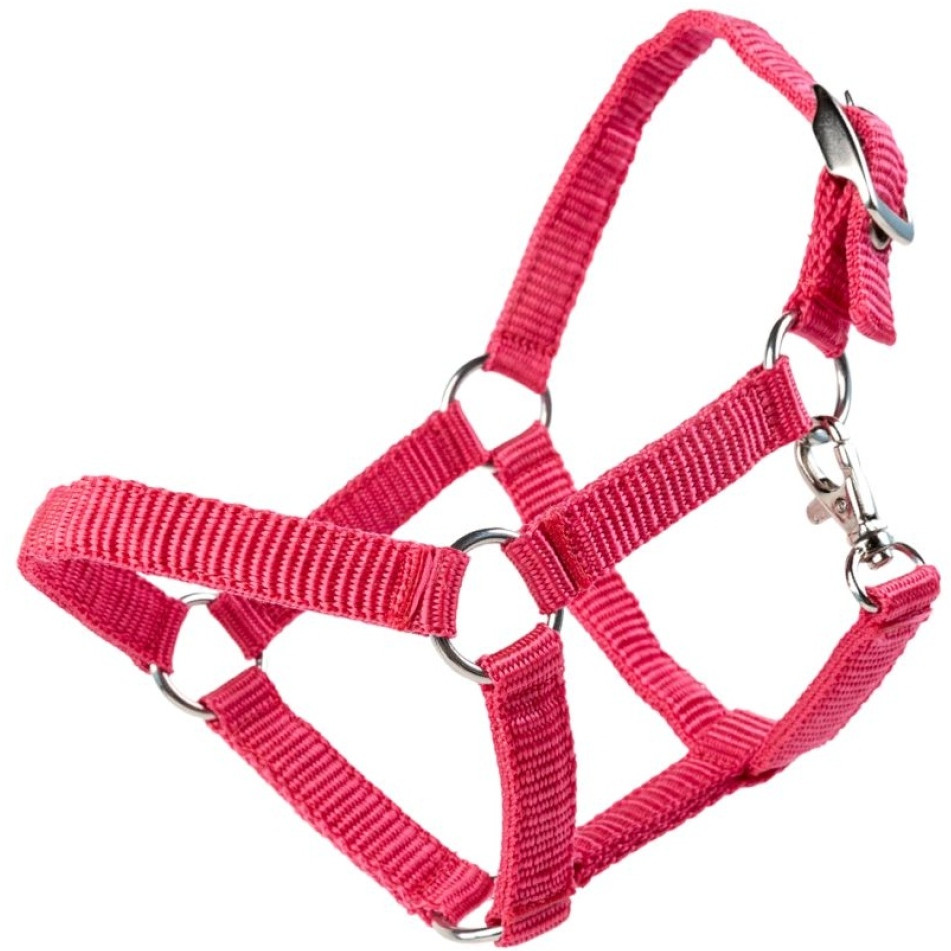 Spielzeughalfter pink