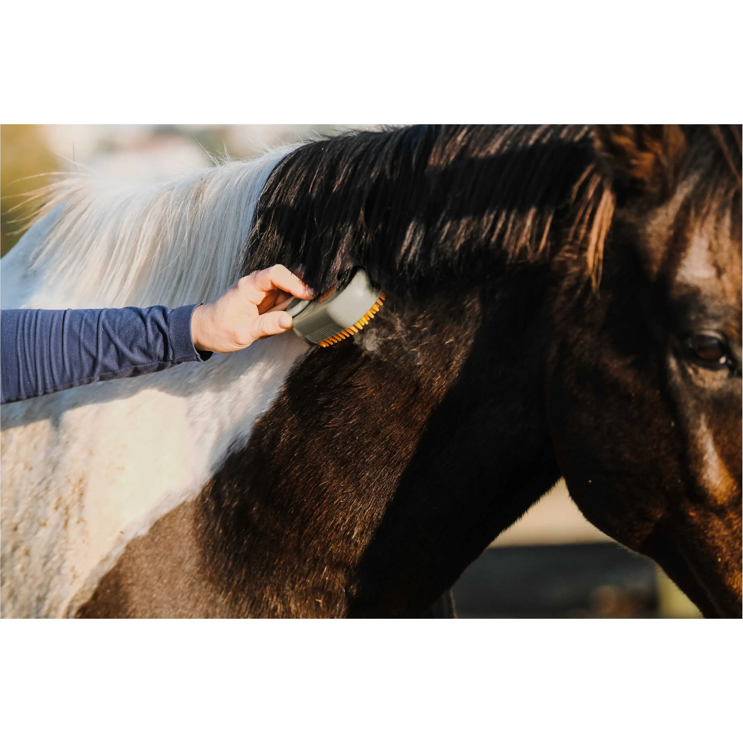 Dampfbürste mit Griff taupe