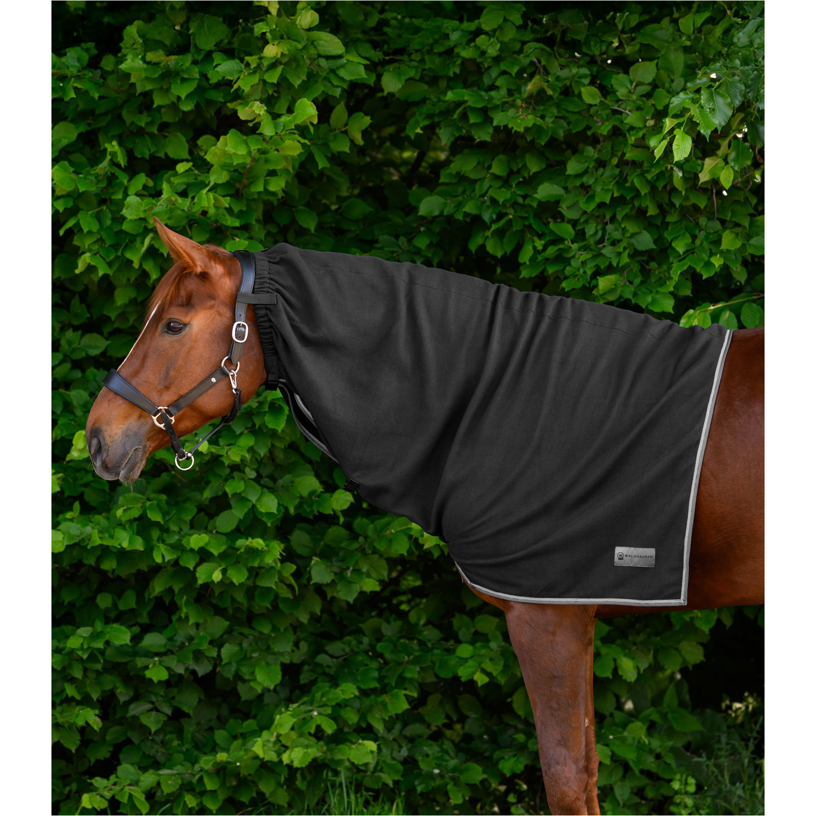 Fleece-Halsdecke ECONOMIC schwarz