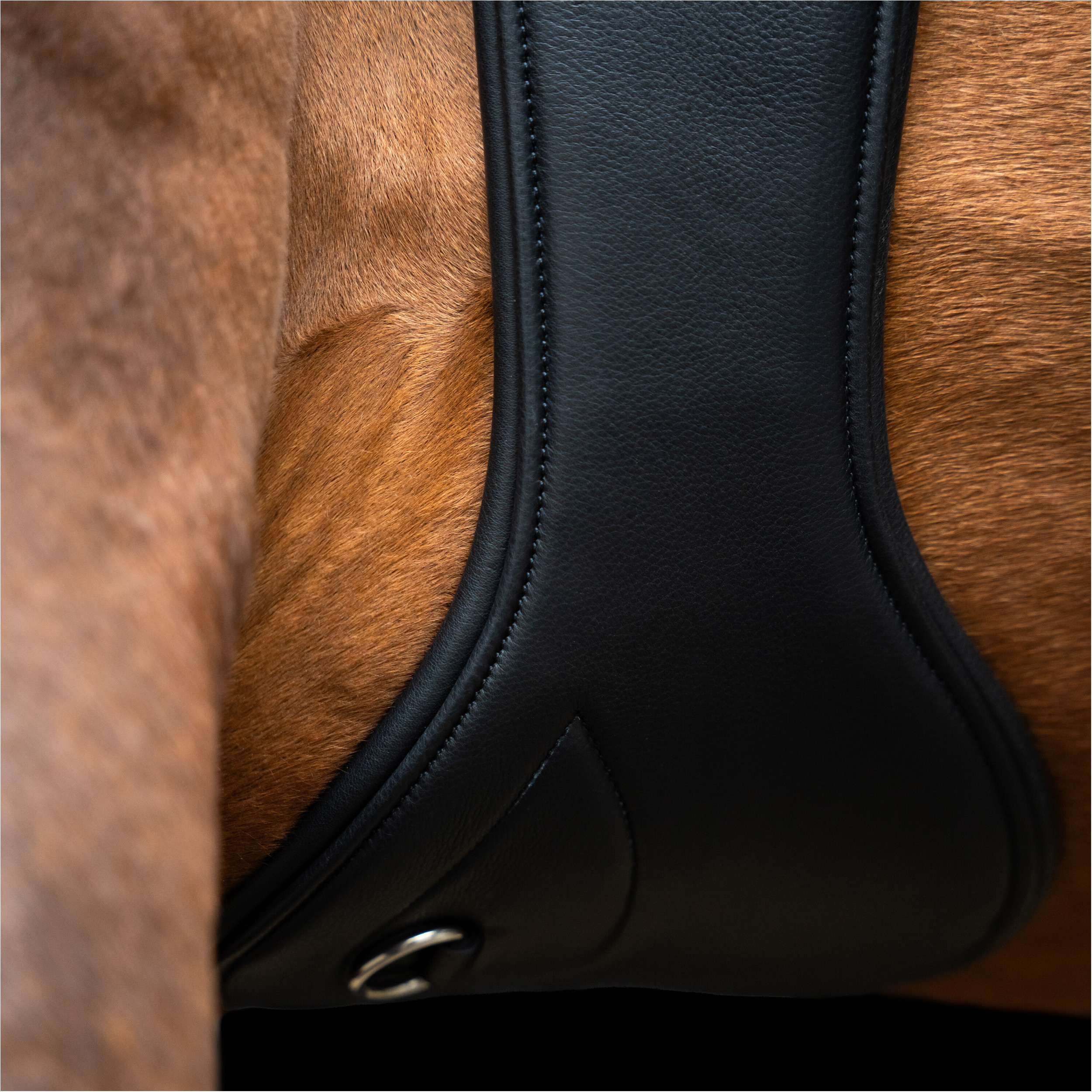 Stollengurt IRH anatomisch mit Rollenschnallen schwarz