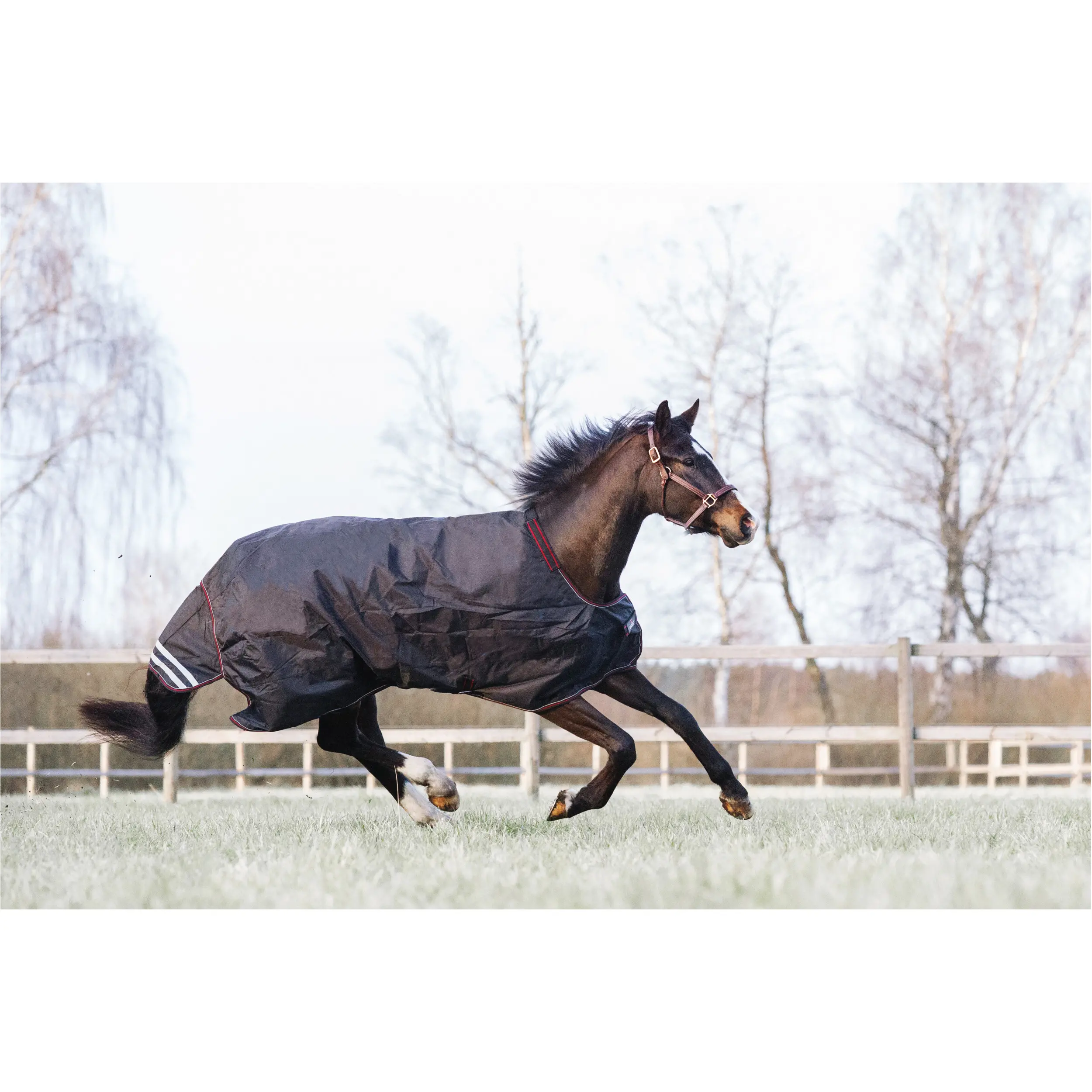 Weidedecke 600D mit Liner 100g Füllung 420D DUAL PRO schwarz