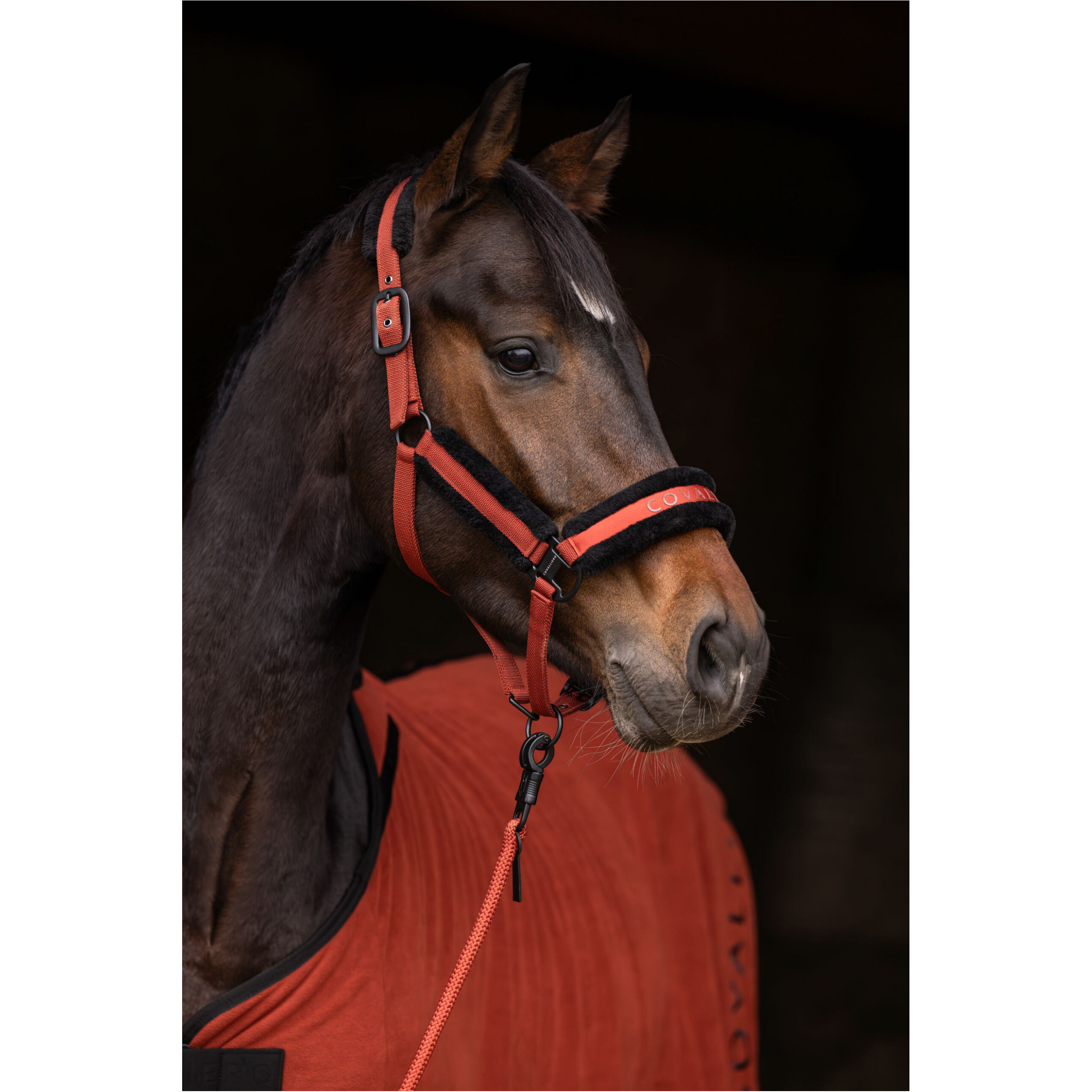 Halfter H/W 2025 rust