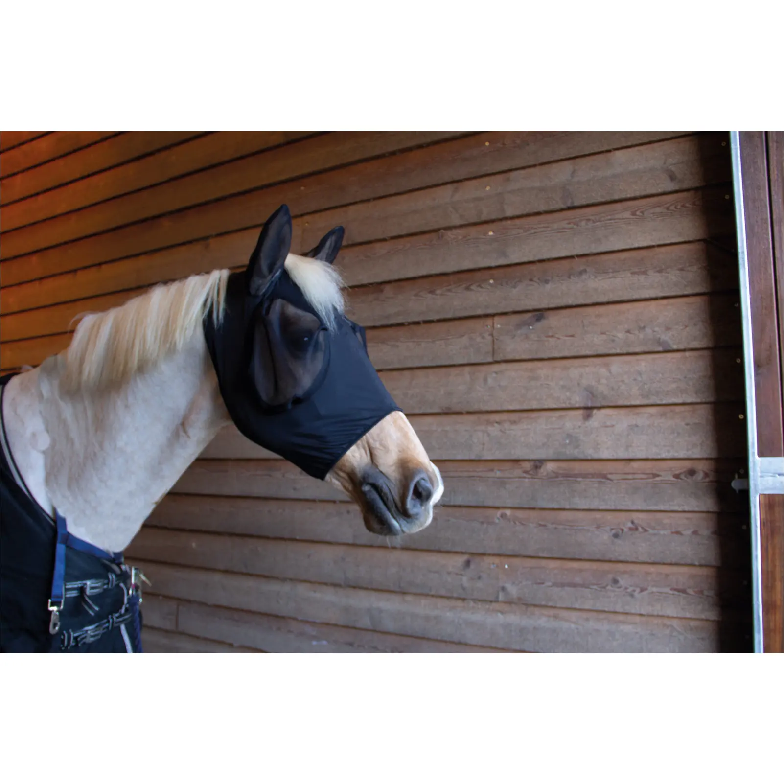 Fliegenmaske FIR-Tech schwarz Fliegenmaske FIR-Tech schwarz