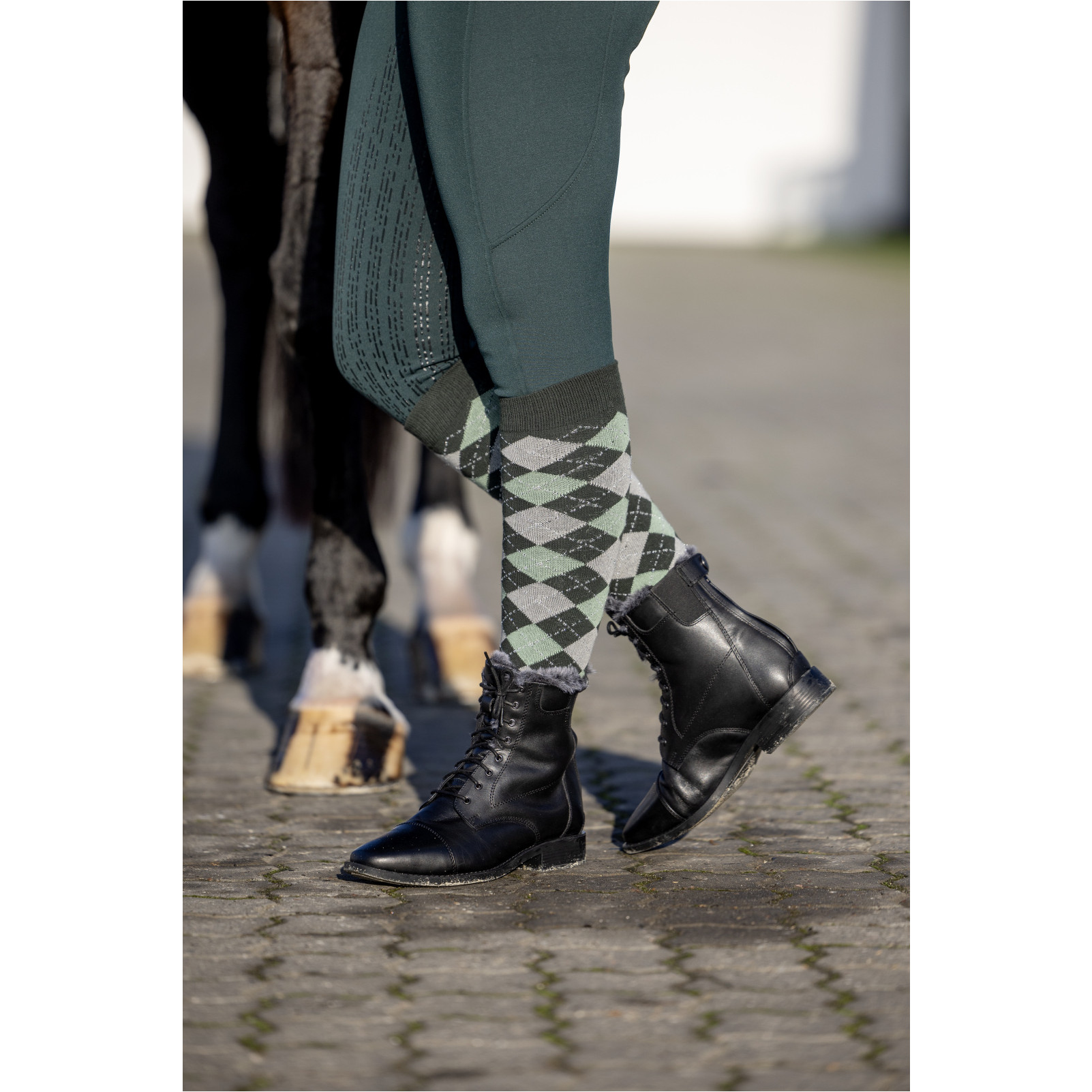 Reitsocken LAX ponderosa pine