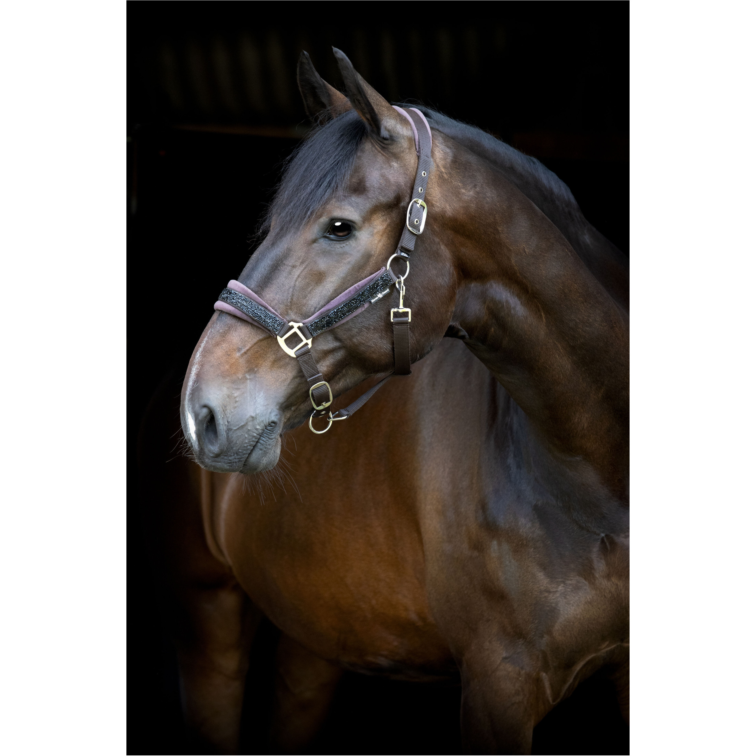 Halfter ANGEL after dark